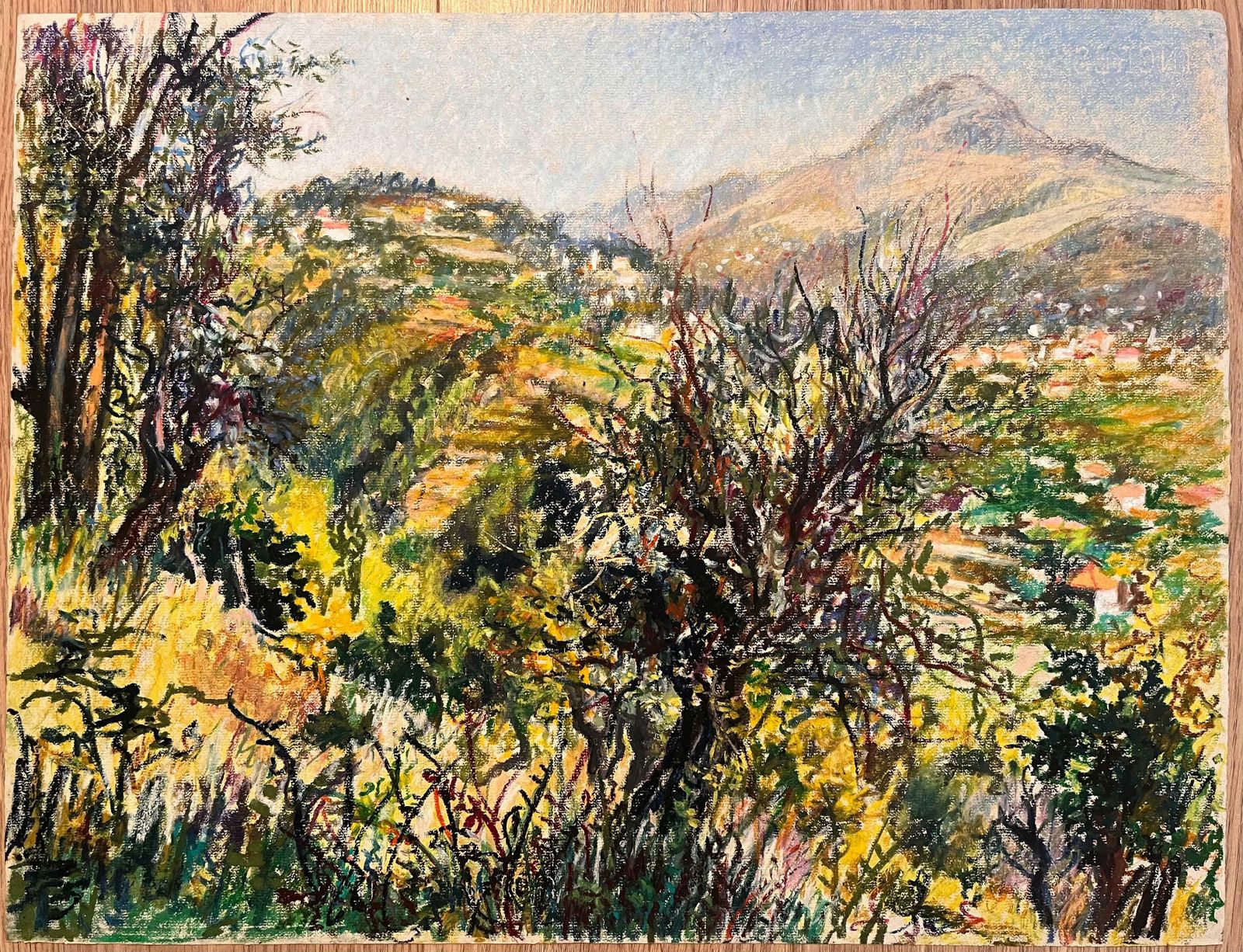 Josine Vignonmid Century French Pastel Drawing Of Mountain View With Sunlit Foliage1950's photo furniture