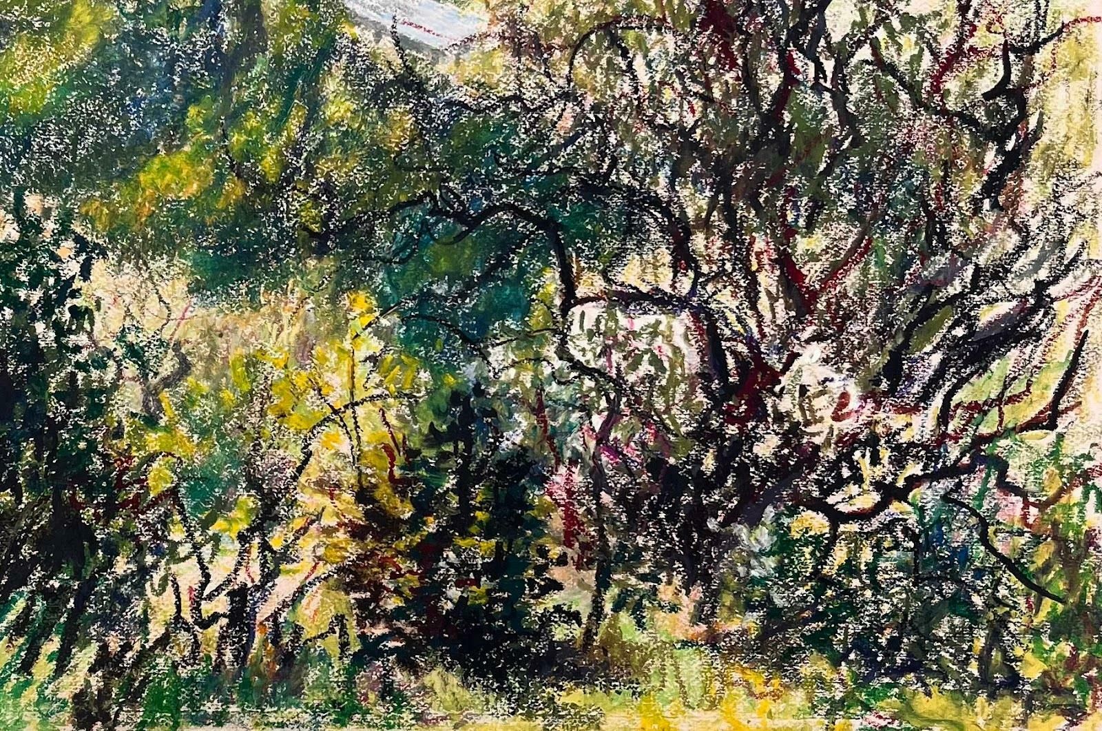 Josine Vignonmid Century French Original Pastel Painting Le Mont Chauve & The Hills Of Nice1950's photo 875.0
