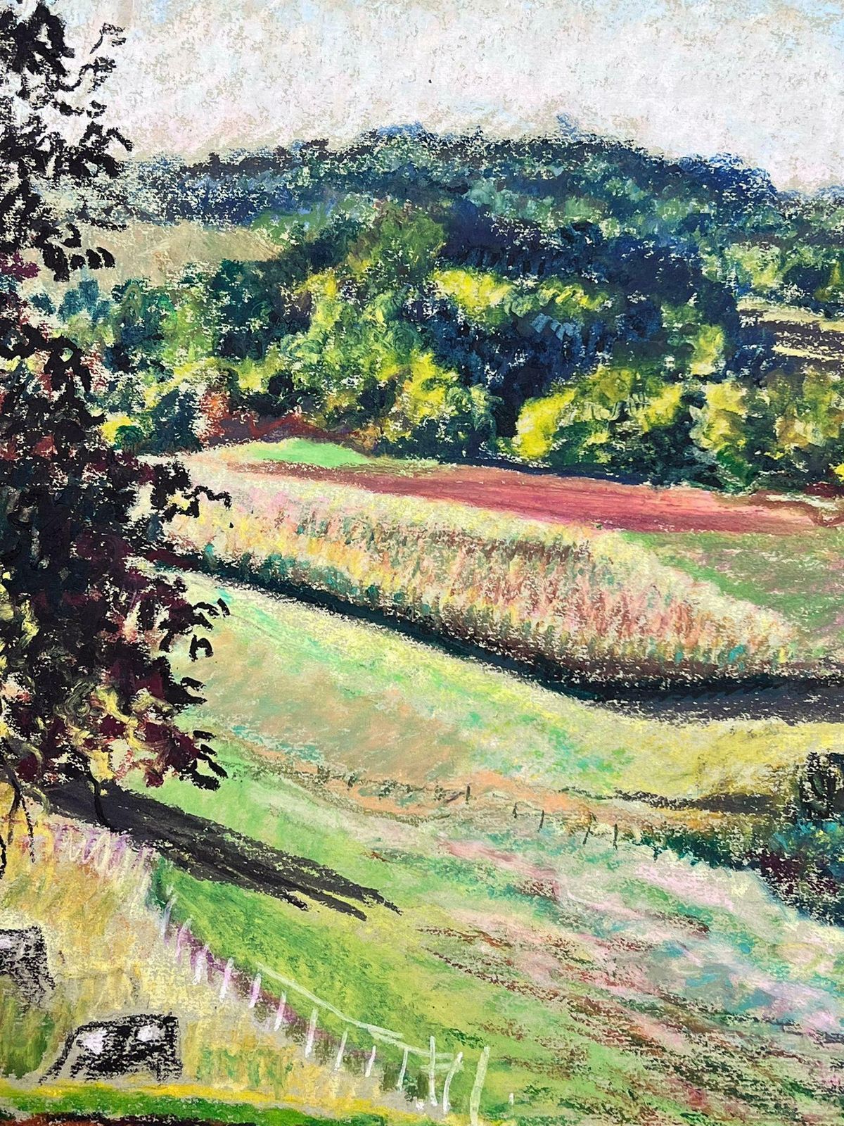 Josine Vignonlarge 1970's French Impressionist Pastel Cows Munching On Summer Green Grass1977 photo 875.0