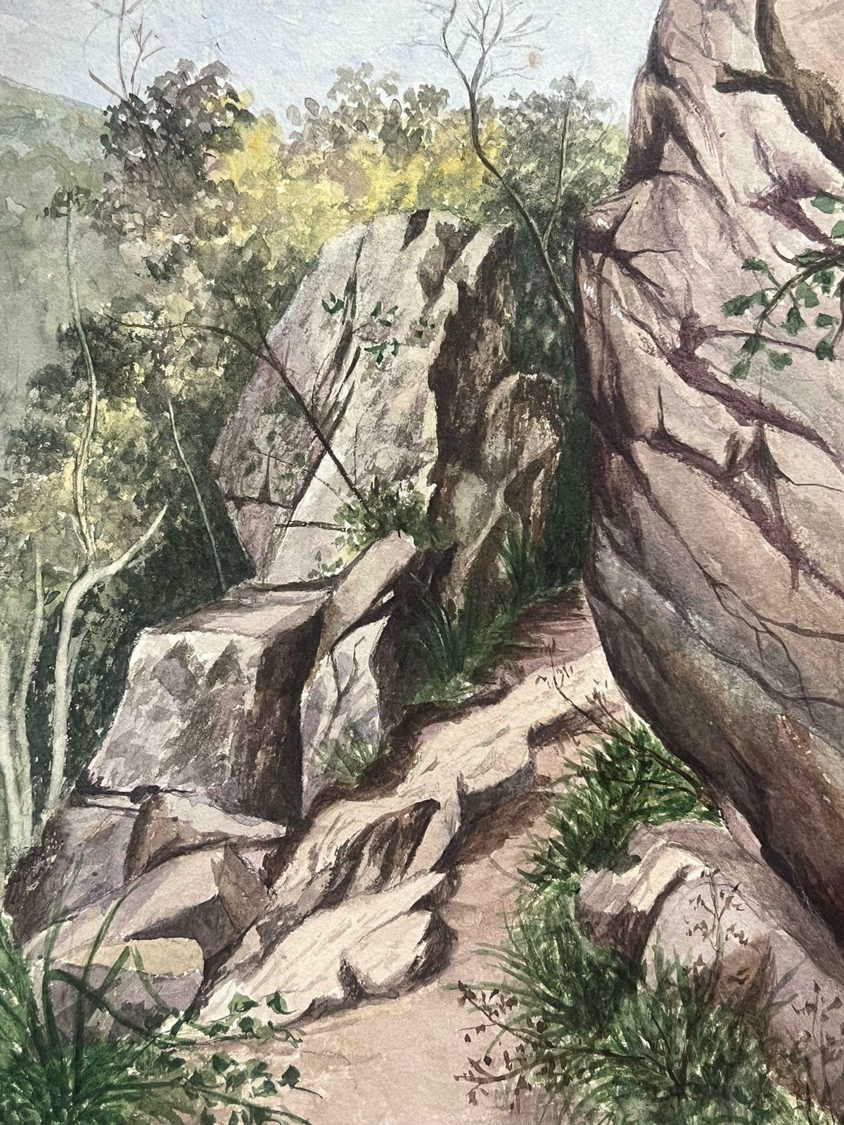 Caroline Worsleyfine Antique British Watercolour Painting Rocks Path To Buffalo River Landscape C.1900's photo Art
