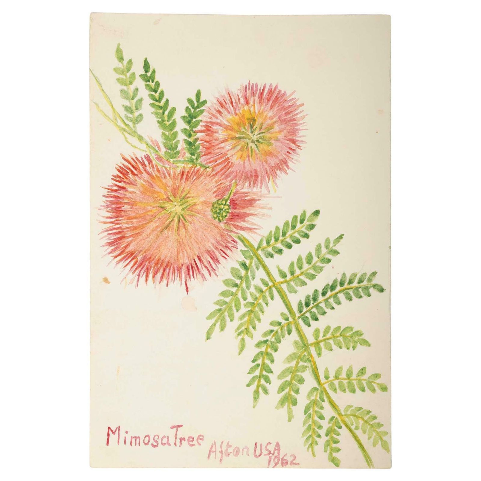 Small  American Watercolour Of Fowers, 20th Century.