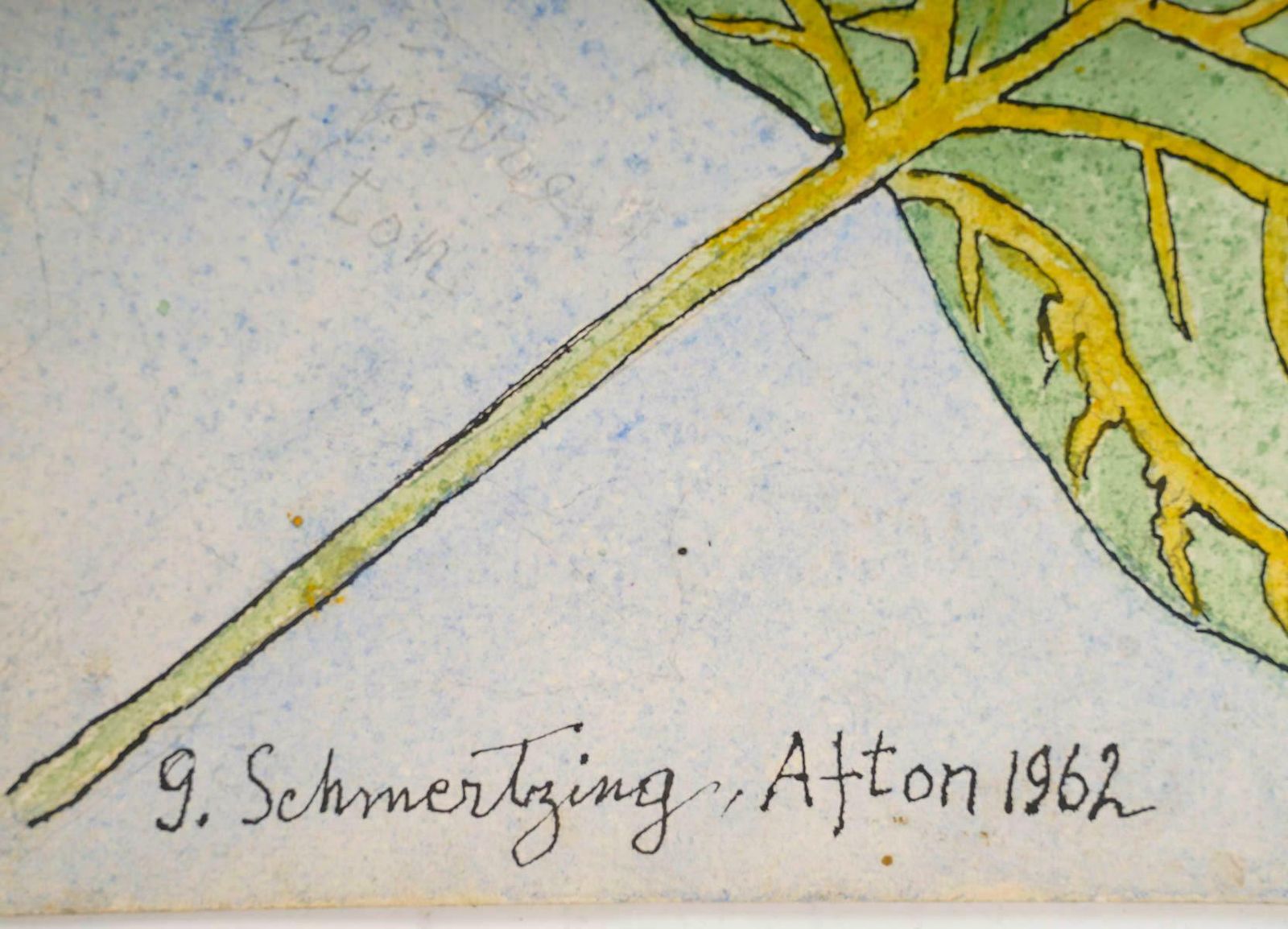 Double Sided Watercolour Of Plants, 20th Century, Afton, 1962. photo buy