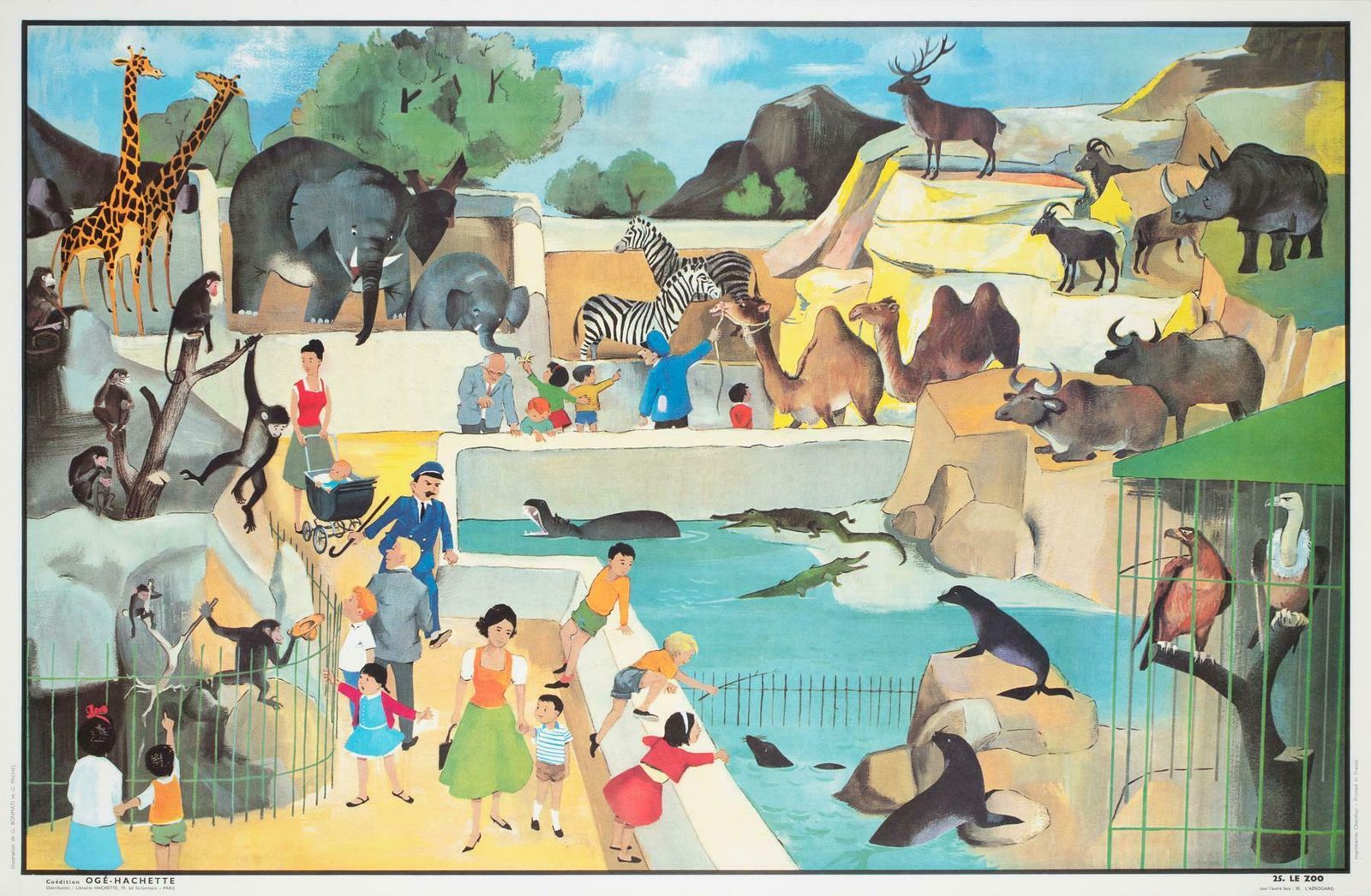 Oge Hachette 1960s French Double Sided Educational Poster   No.S  25 & 30 photo Art