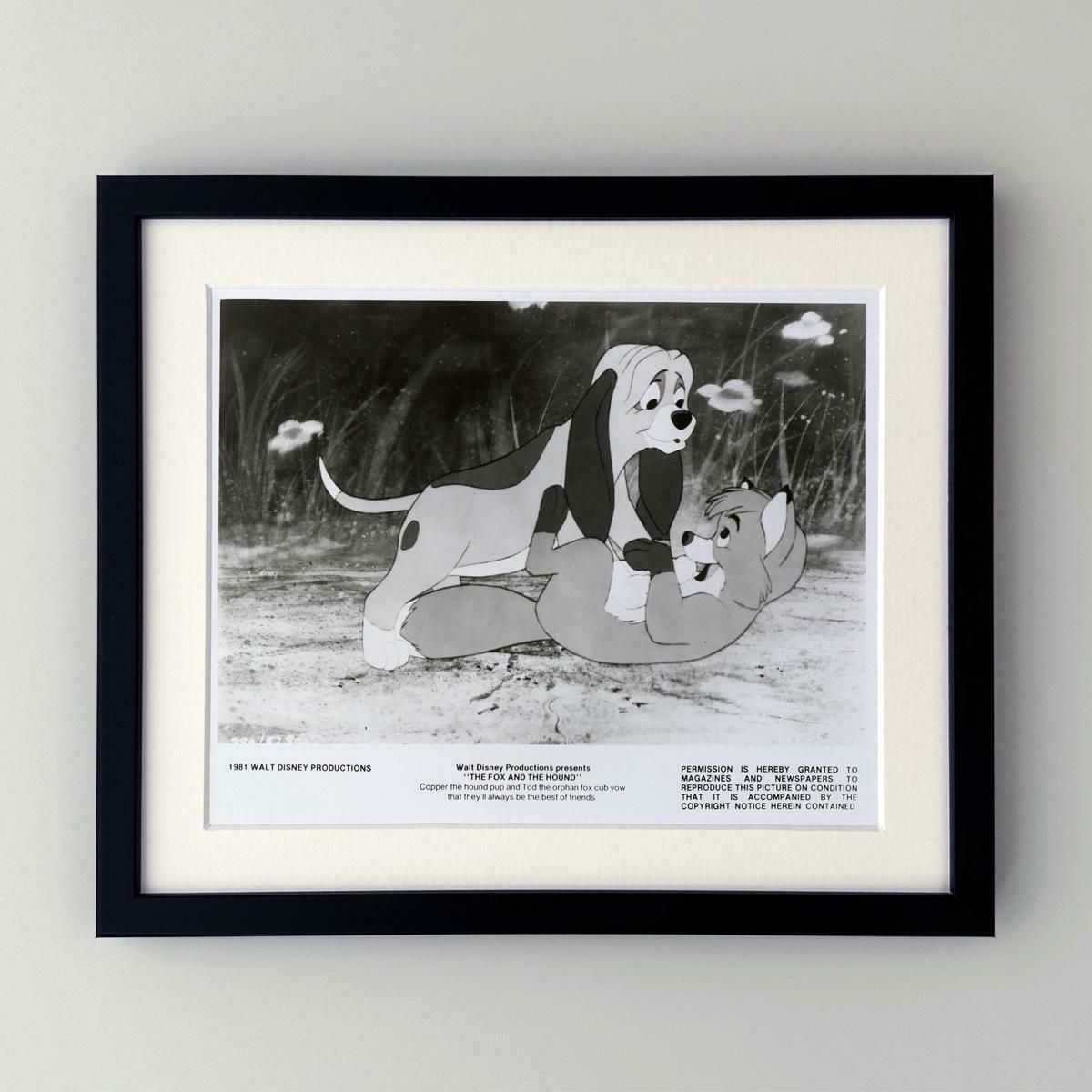 The Fox And The Hound  (1981)  Publicity Film Still  Framed photo Art