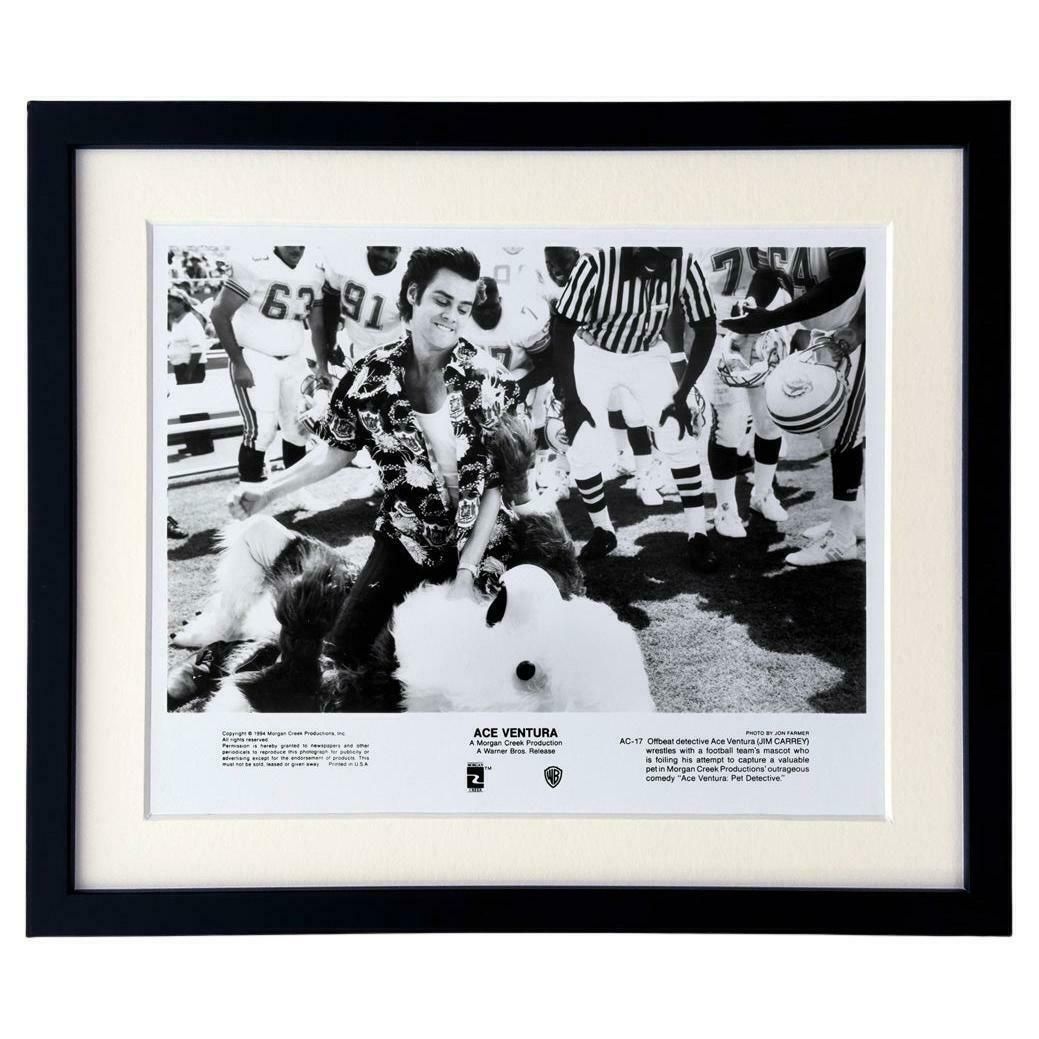 Ace Ventura  (1994)  Publicity Film Still  Framed 0    Jim Carrey photo furniture