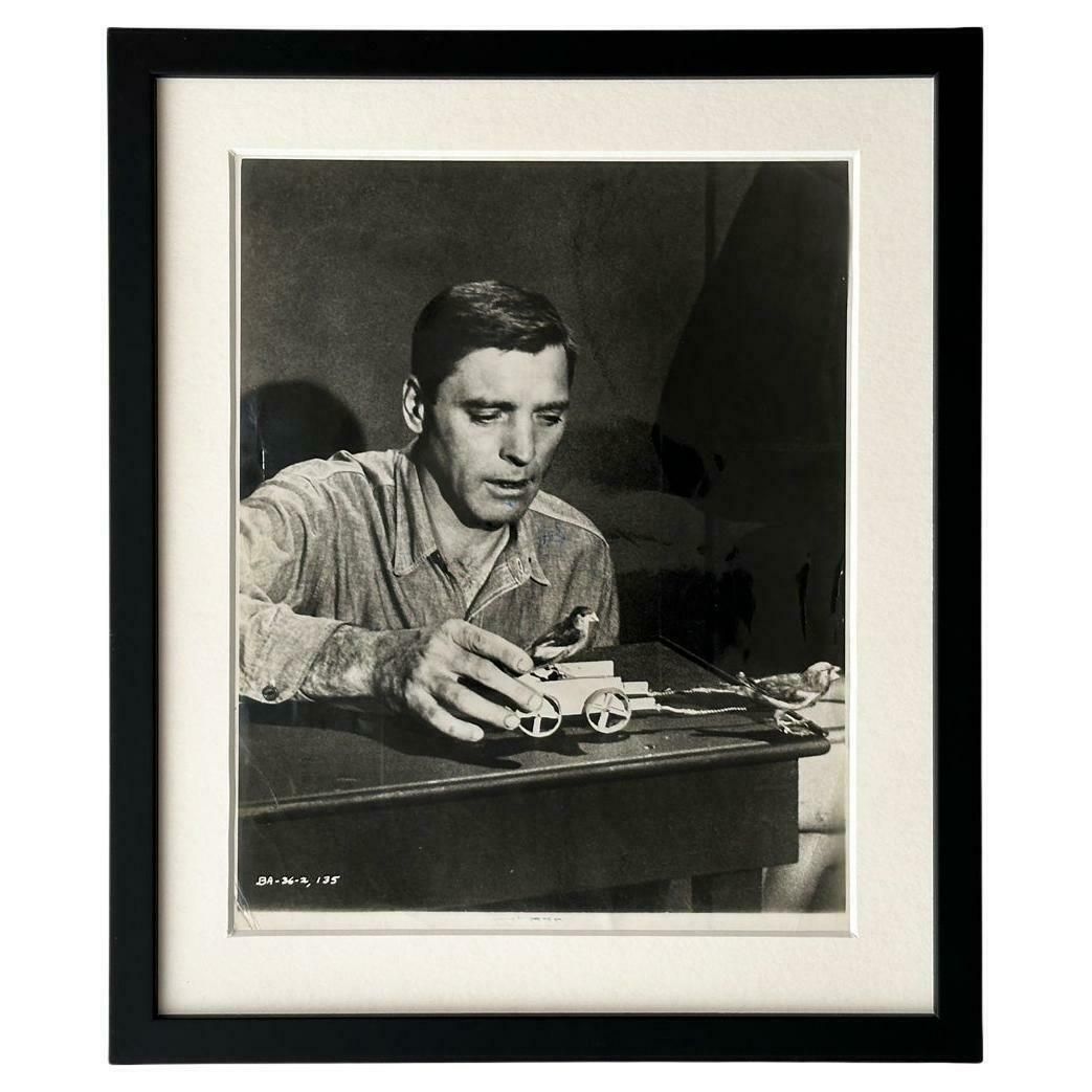 Birdman Of Alcatraz  Publicity Film Still 1962 Burt Lancaster    Framed