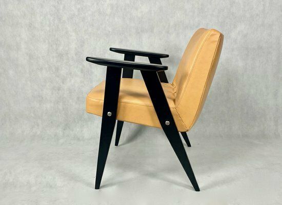 Mid Century Polish 366 Armchair By Jozef Chierowski, 1960s photo 416.0