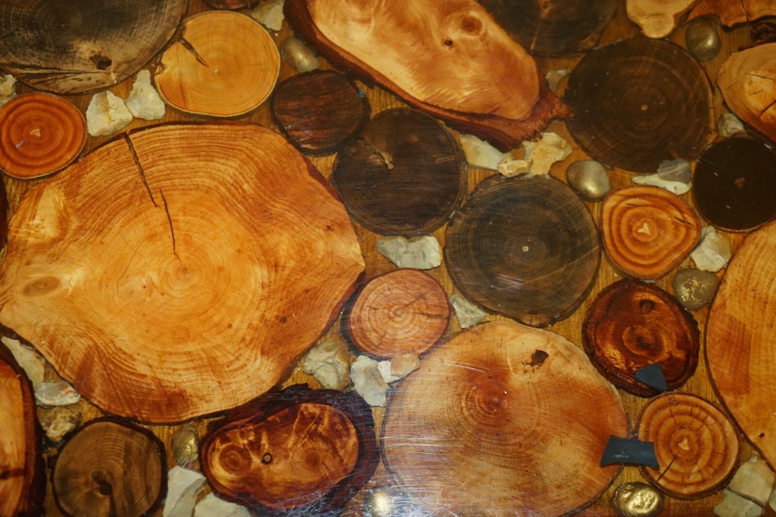 1350.0 Vintage Fossil Petrified Wood Sample Coffee Table Super Decorative & Primitive photo
