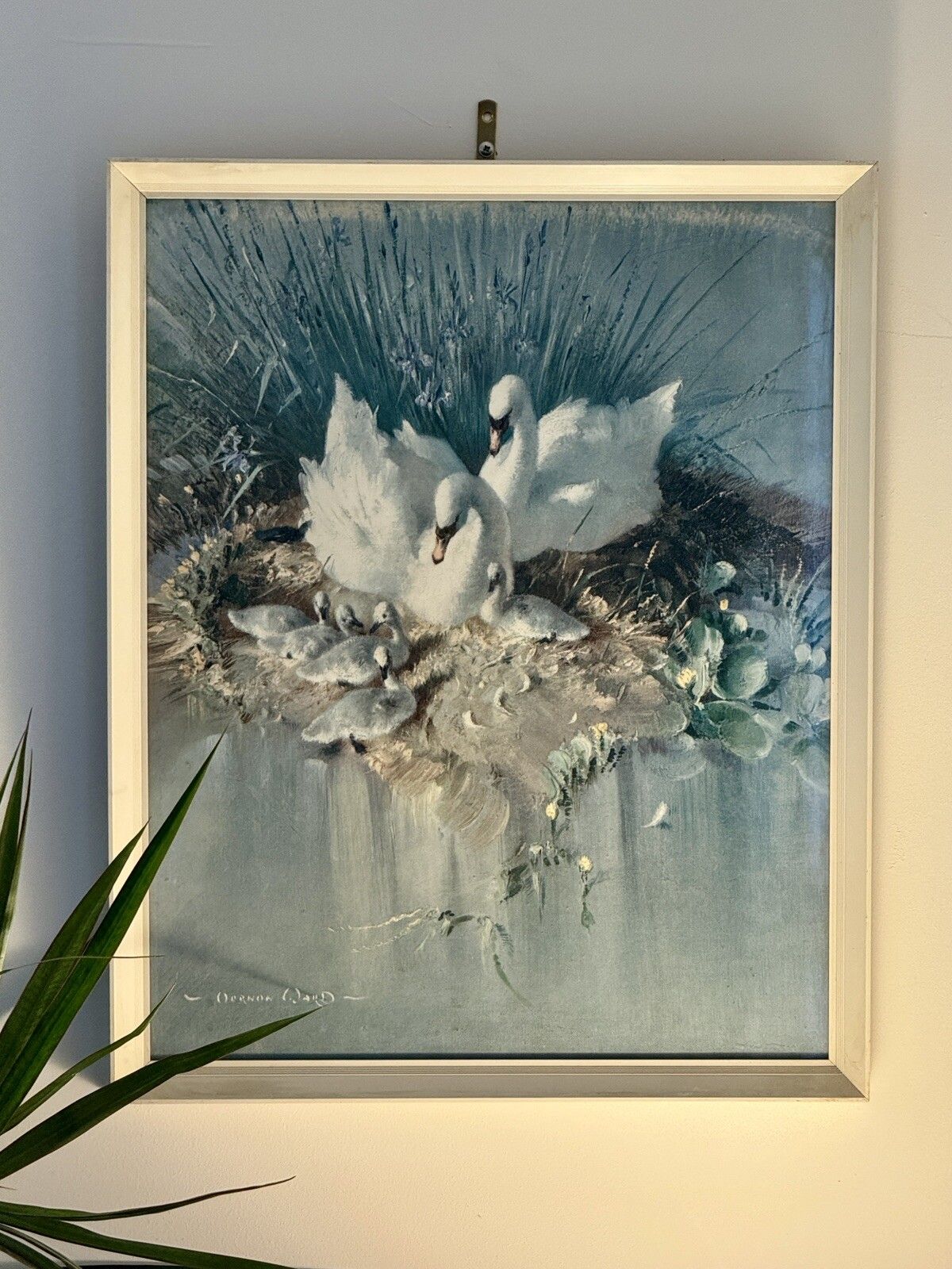 Mid Century Vernon Ward Framed & Glazed Print Swans & Cygnets “Early Days”