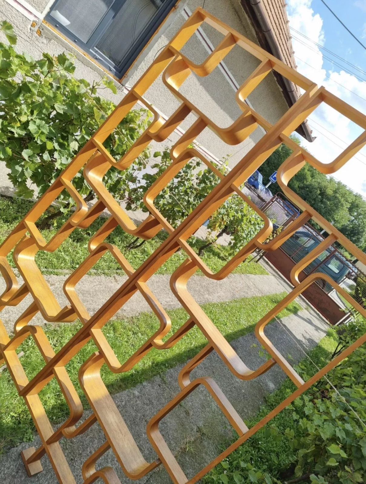 Room Divider By Ludvík Volák For Drevopodnik Holesov photo for sale