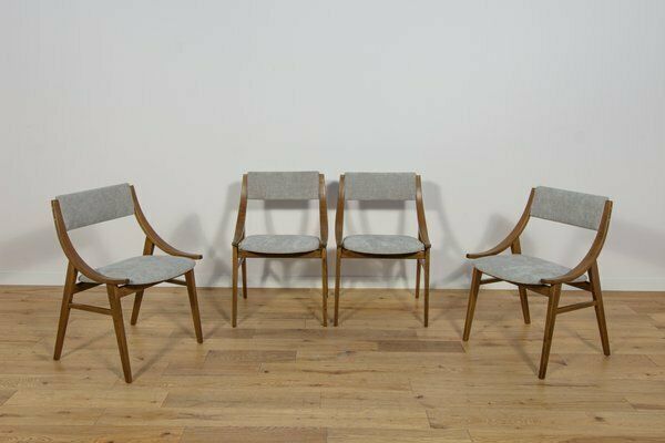 Ski Jumper Chairs From Zamojska, Poland, 1960s, Set Of 4