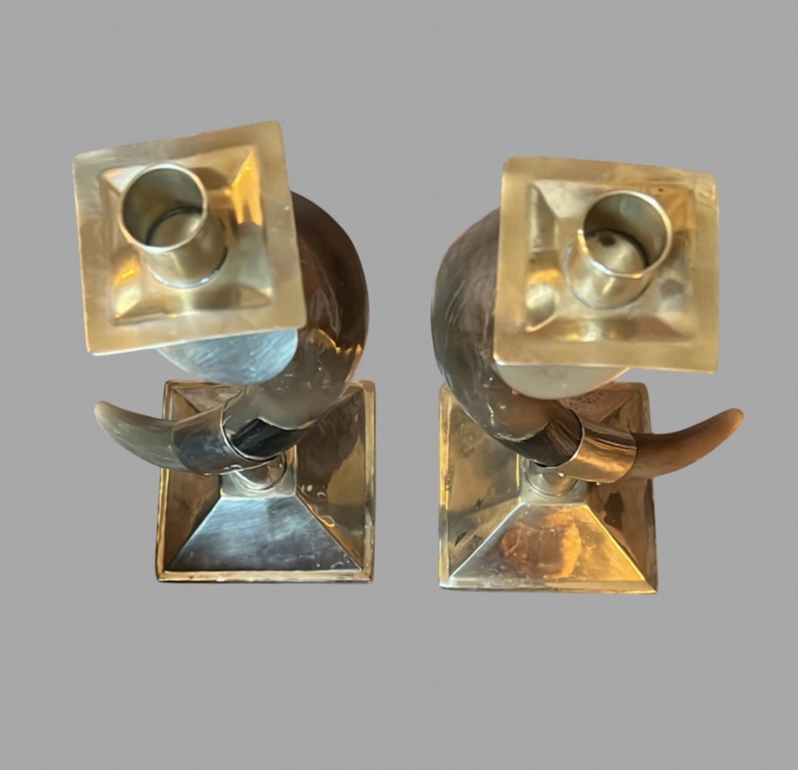 A Pair Of South American Alpaca And Horn Candlesticks photo furniture