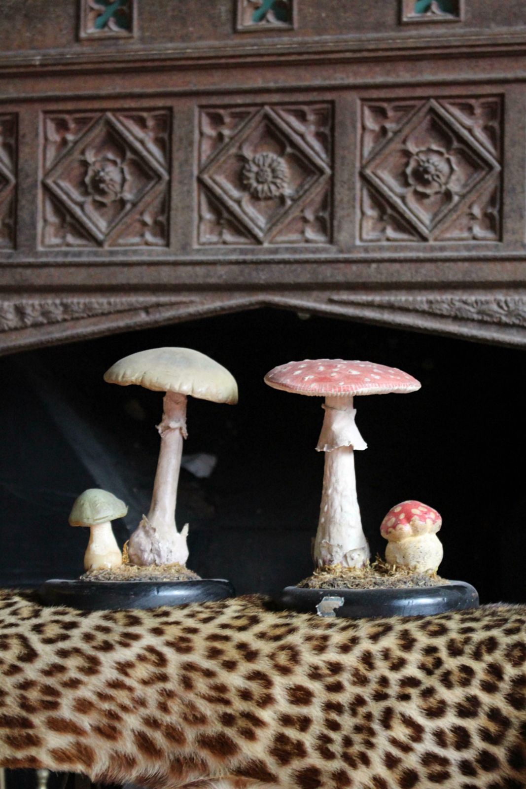 Early 20th Century Death Cap & Fly Agaric Model Fungi Natural History photo vinterior
