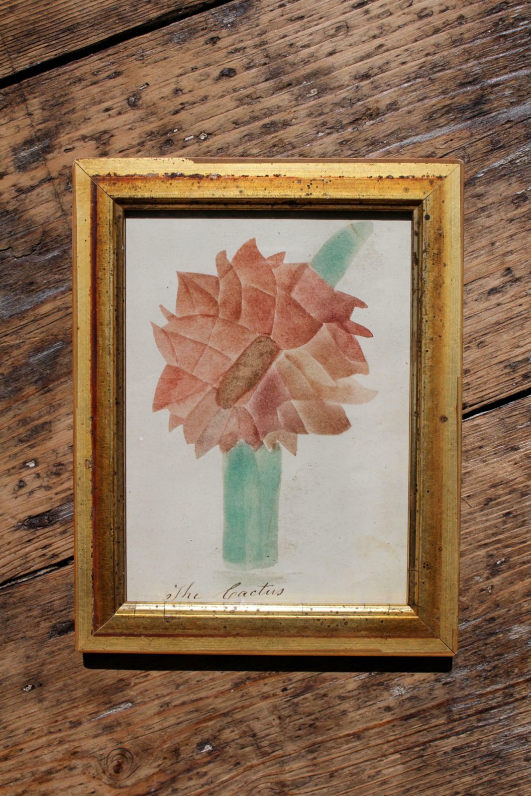 American School Circa 1840 Theorem Painting Of A Cactus Giltwood Frame Folk Art photo Art