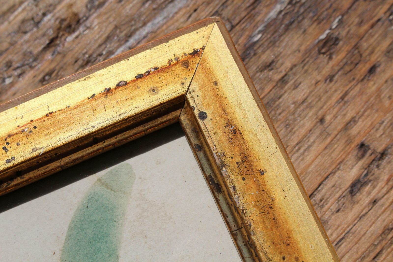 American School Circa 1840 Theorem Painting Of A Cactus Giltwood Frame Folk Art photo buy