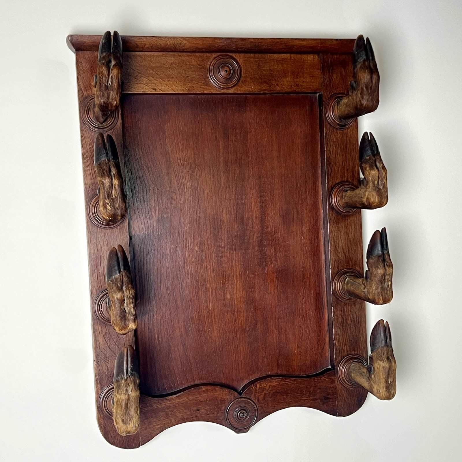 Antique Continental Oak Taxidermy Gun Or Coat Rack photo vintage