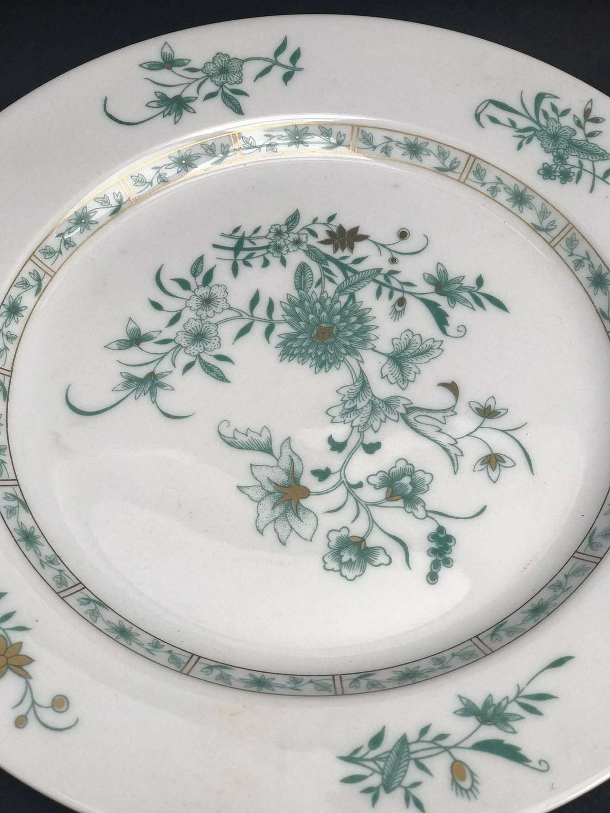 6 Porcelain Bernardaud Limoges Dinner Plates Set Pekin Pattern Discontinued Replacement Golden Rim Romantic Green Plants Flowers Christmas photo 345.0