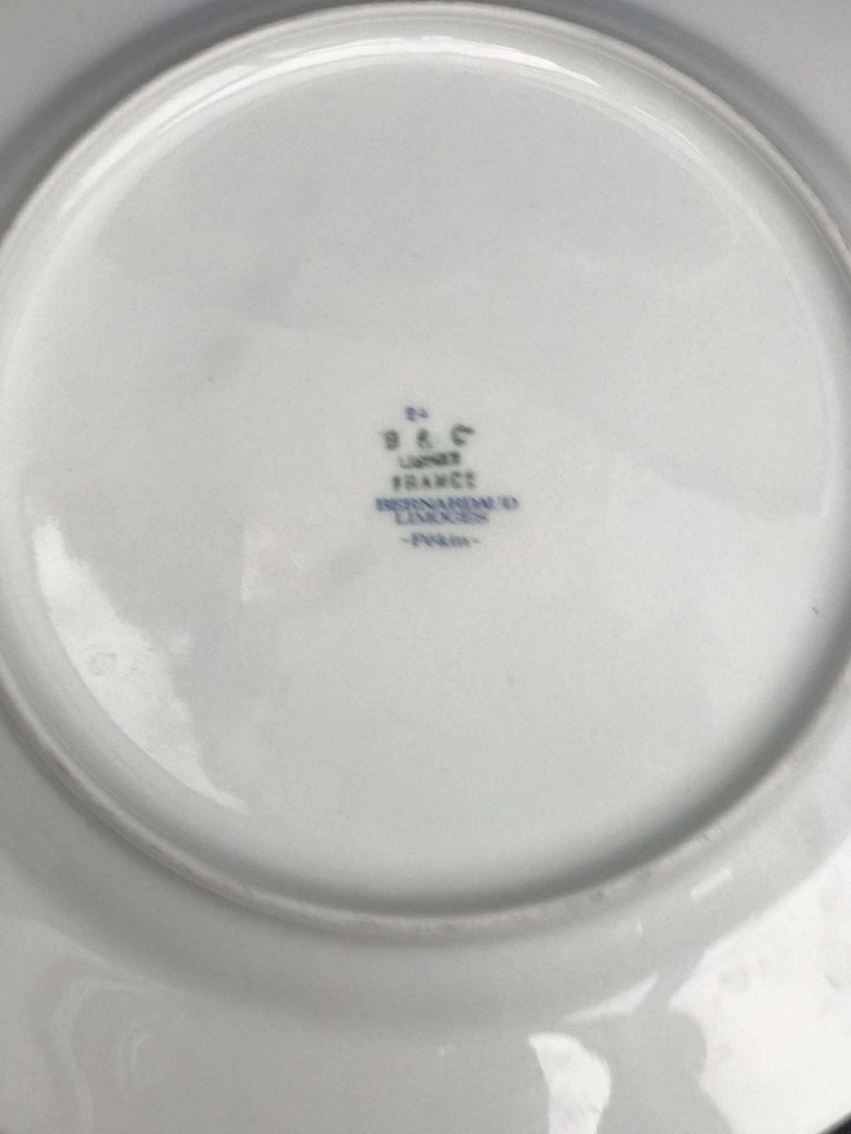 6 Porcelain Bernardaud Limoges Dinner Plates Set Pekin Pattern Discontinued Replacement Golden Rim Romantic Green Plants Flowers Christmas photo vintage