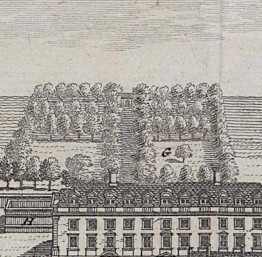 Pieter Van Der Aa, Christ's College, Cambridge Engraving Pieter Van Der Aa After David Loggan 1727 photo 286.0
