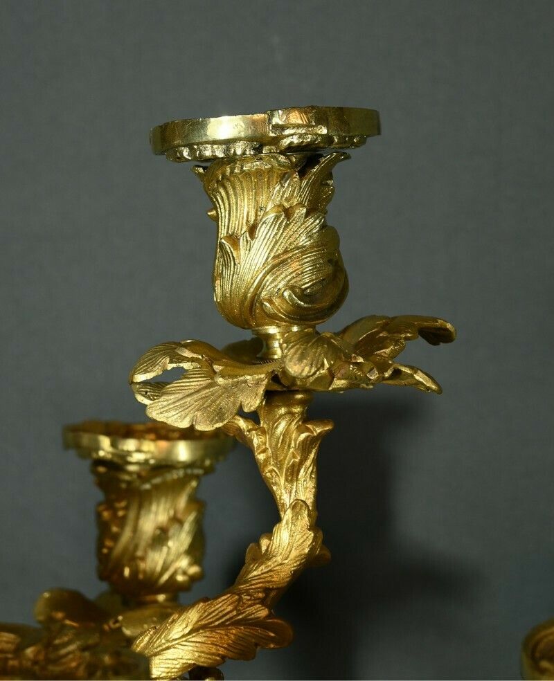 Home Decor Bronze Candelabra After Ja.Meissonnier, Rocaille Style, Napoleon III Period – Mid 19th Century photo