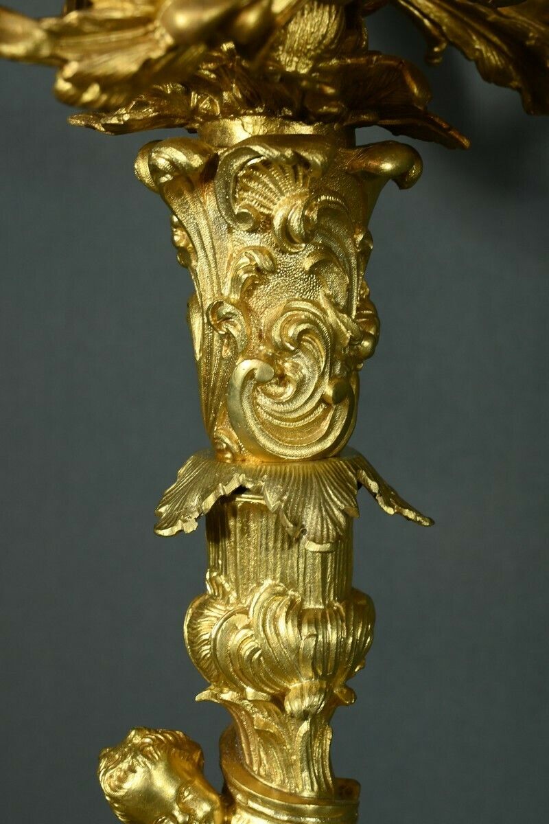 photo vintage Bronze Candelabra After Ja.Meissonnier, Rocaille Style, Napoleon III Period – Mid 19th Century