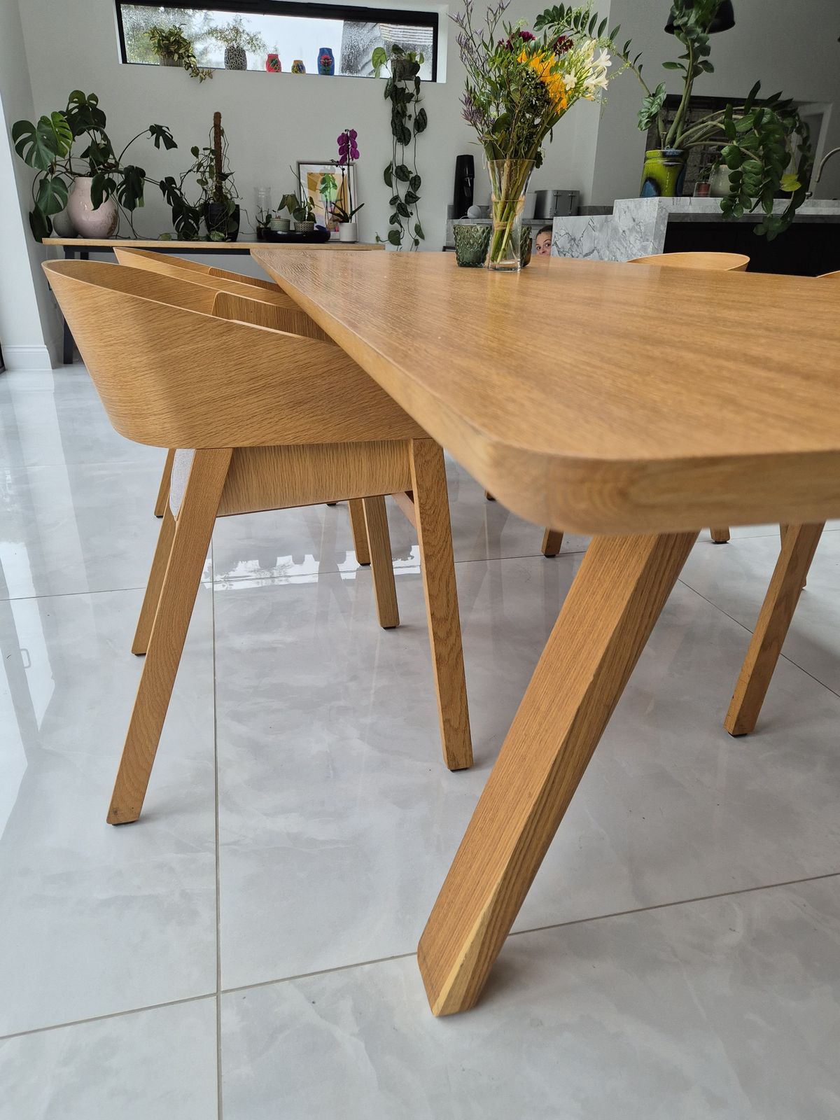 photo furniture Ton Solid Beech Designer Dining Table And Merano Chairs