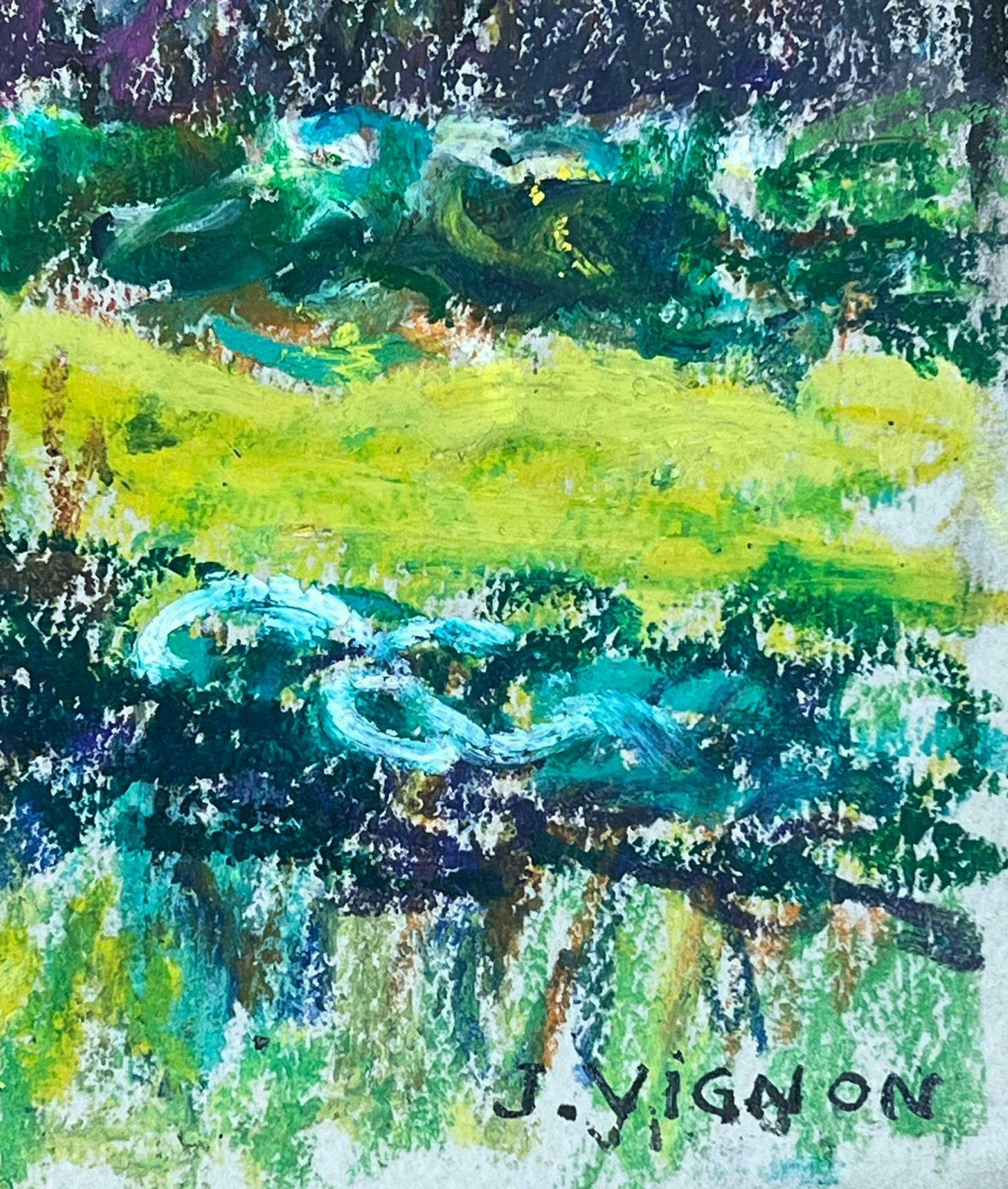 Josine Vignonlarge 1970's French Impressionist Pastel The Lake Of Castillon Provence1977 photo Art