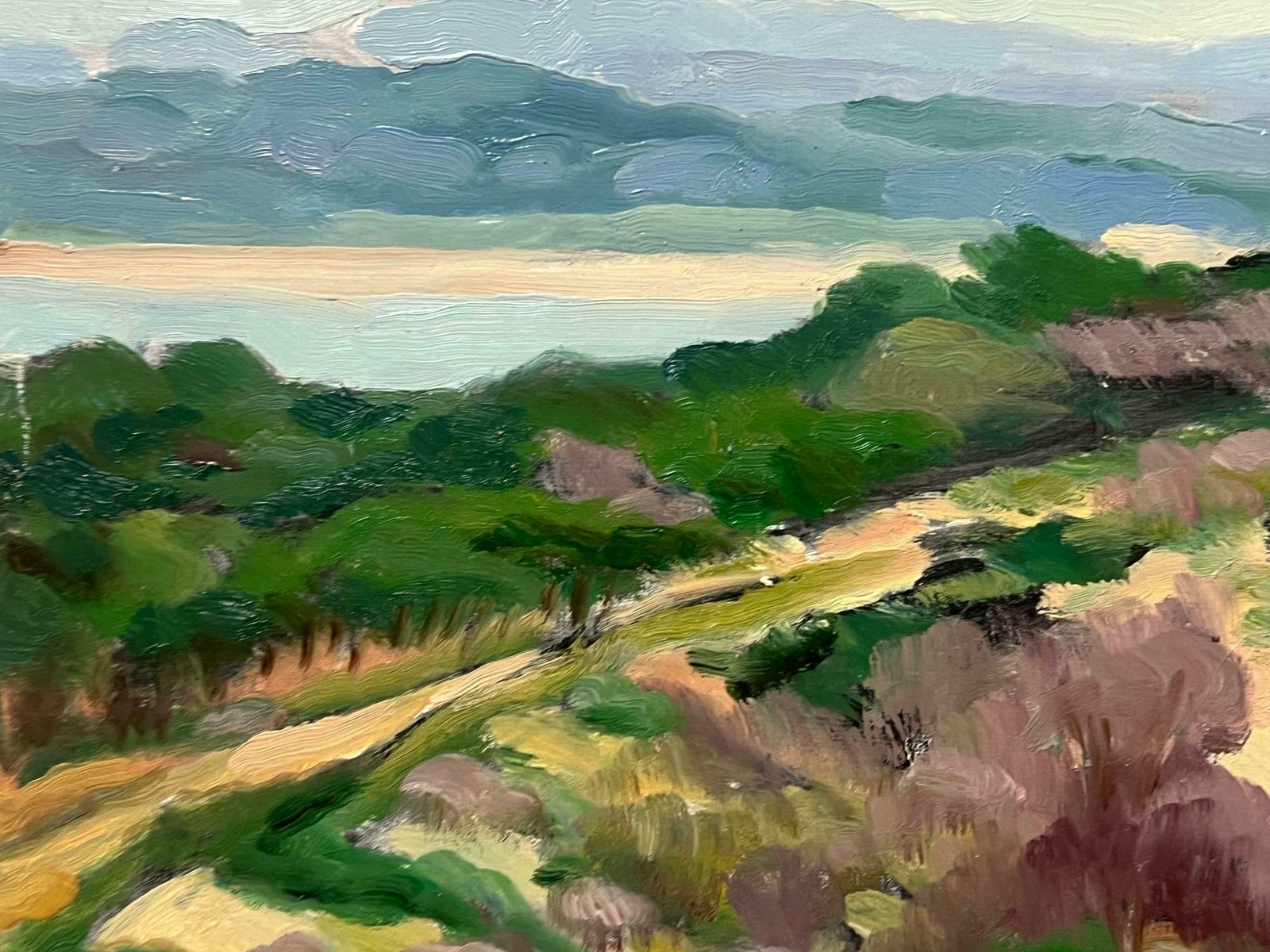 Georges Bordonove1970's French Post Impressionist Signed Oil Painting Sand Dunes On The Beach1976 photo 847.0