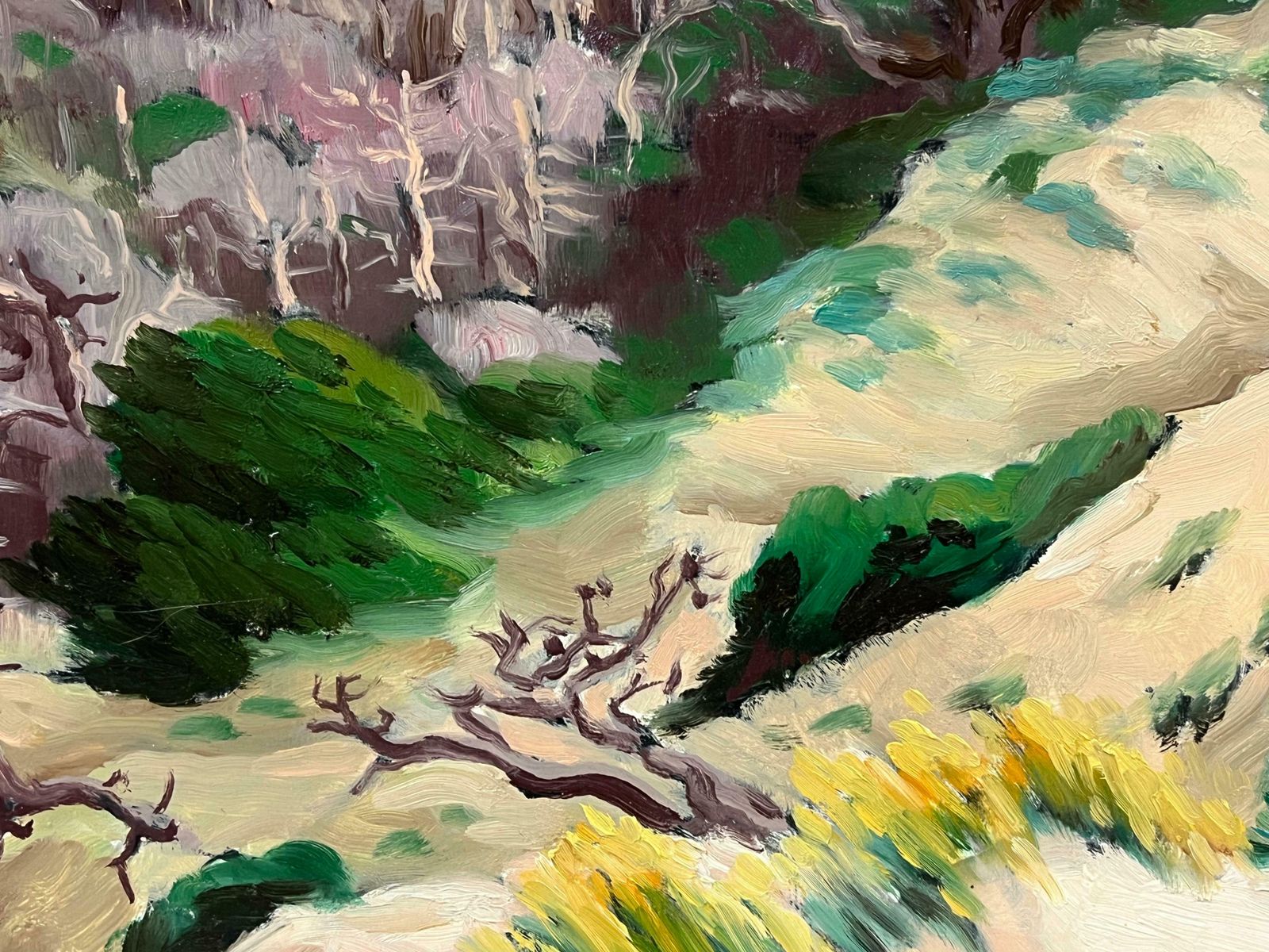 Georges Bordonove1970's French Post Impressionist Signed Oil Painting Sand Dunes On The Beach1976 photo vintage