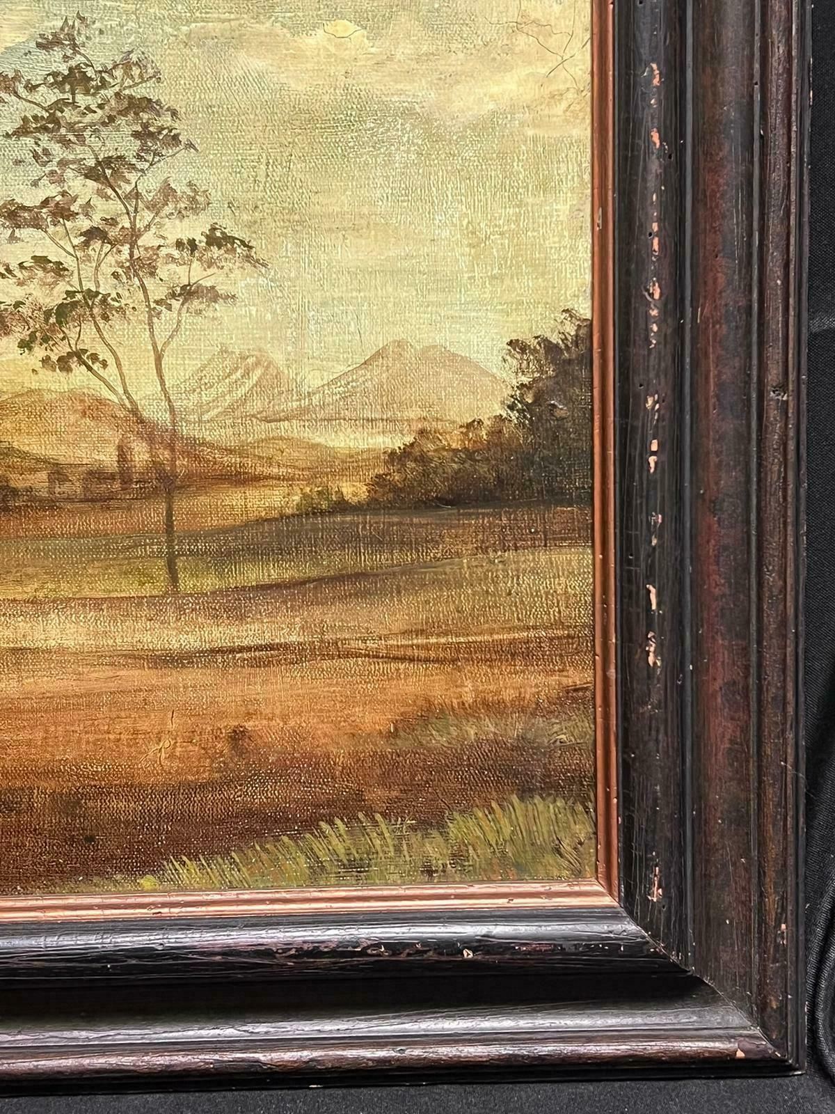 French Schoollarge French Oil Painting Two Horses In Landscape Grey And Chestnut Framed photo vinterior