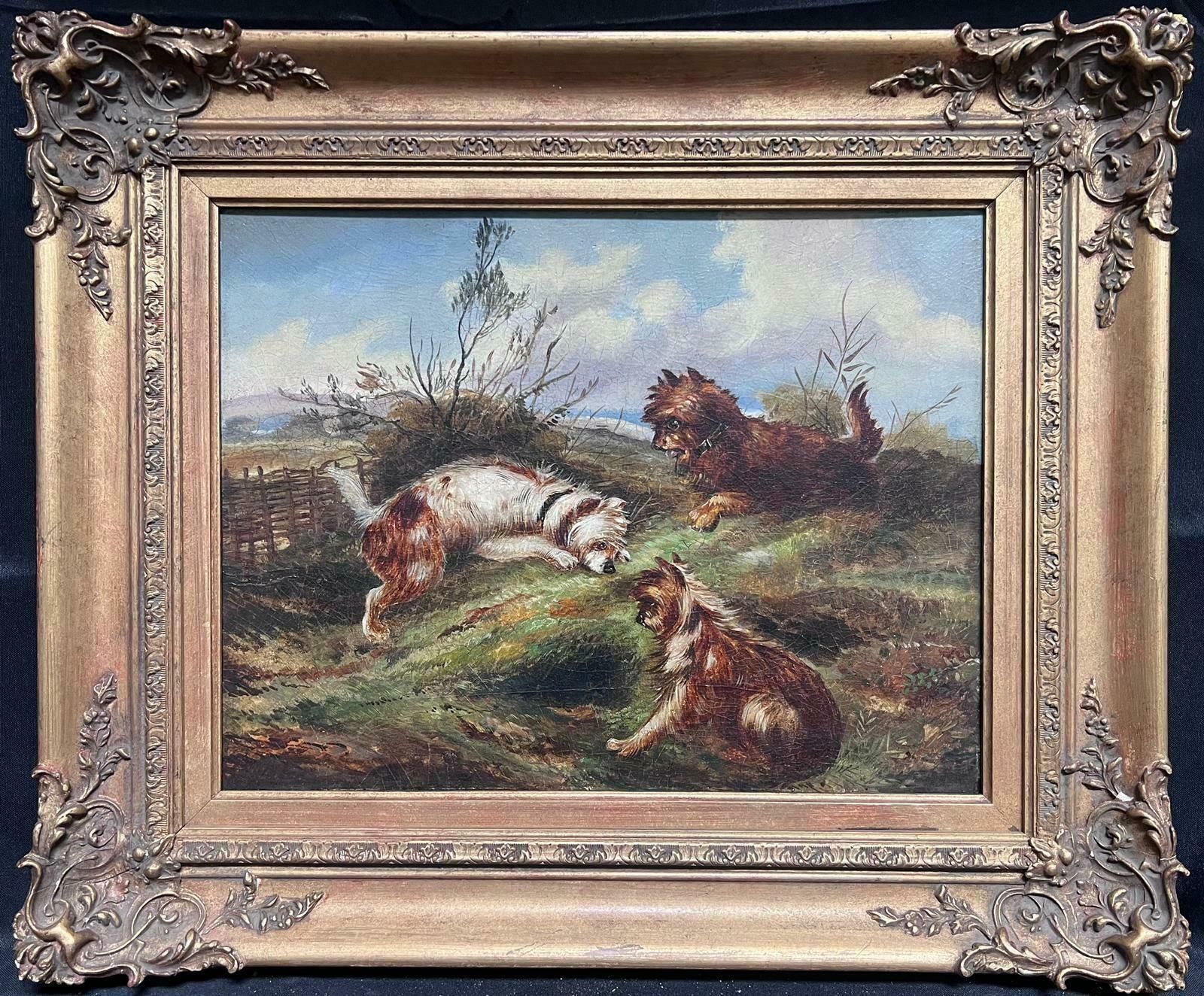 Fine Victorian English Oil Painting Three Terrier Dogs By Rabbit Hole Landscape