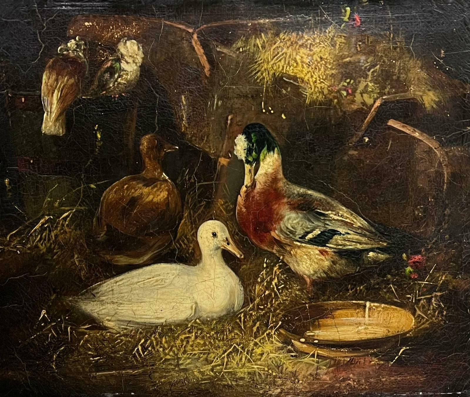 Victorian Oil Painting Ducks & Pigeon In Barn Interior Antique Oil Painting19th Century