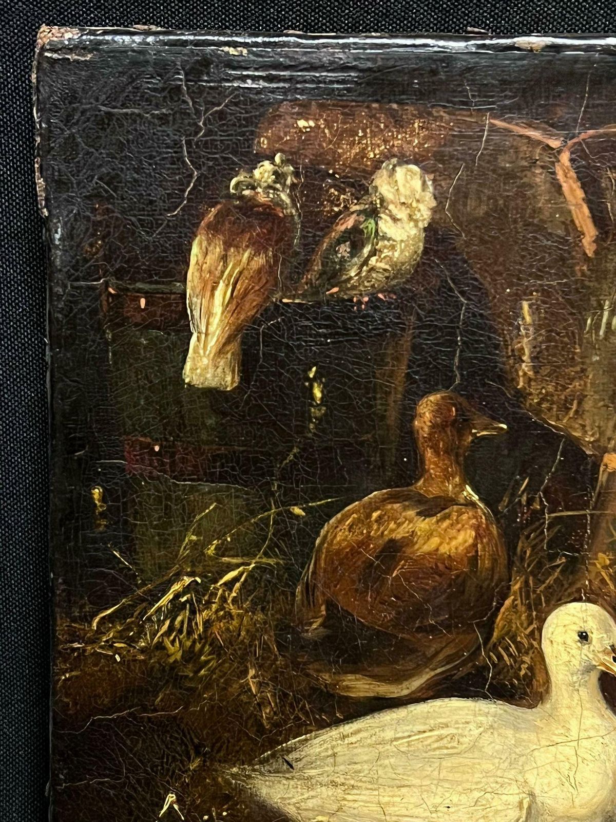 Victorian Oil Painting Ducks & Pigeon In Barn Interior Antique Oil Painting19th Century photo Art