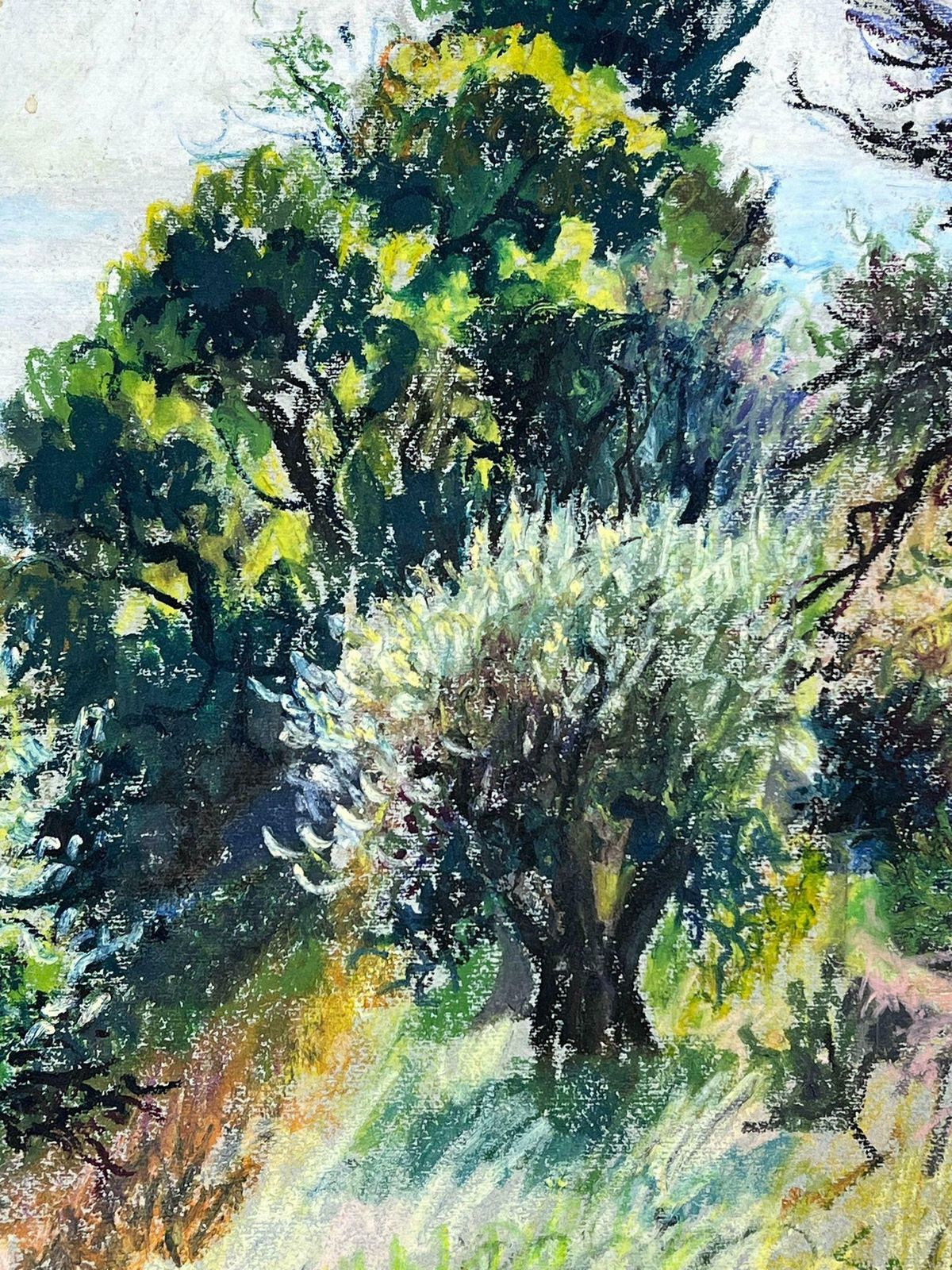 Josine Vignon1950s French Post Impressionist Provencal Olive Grove Hill Seascape 1950s photo 918.0