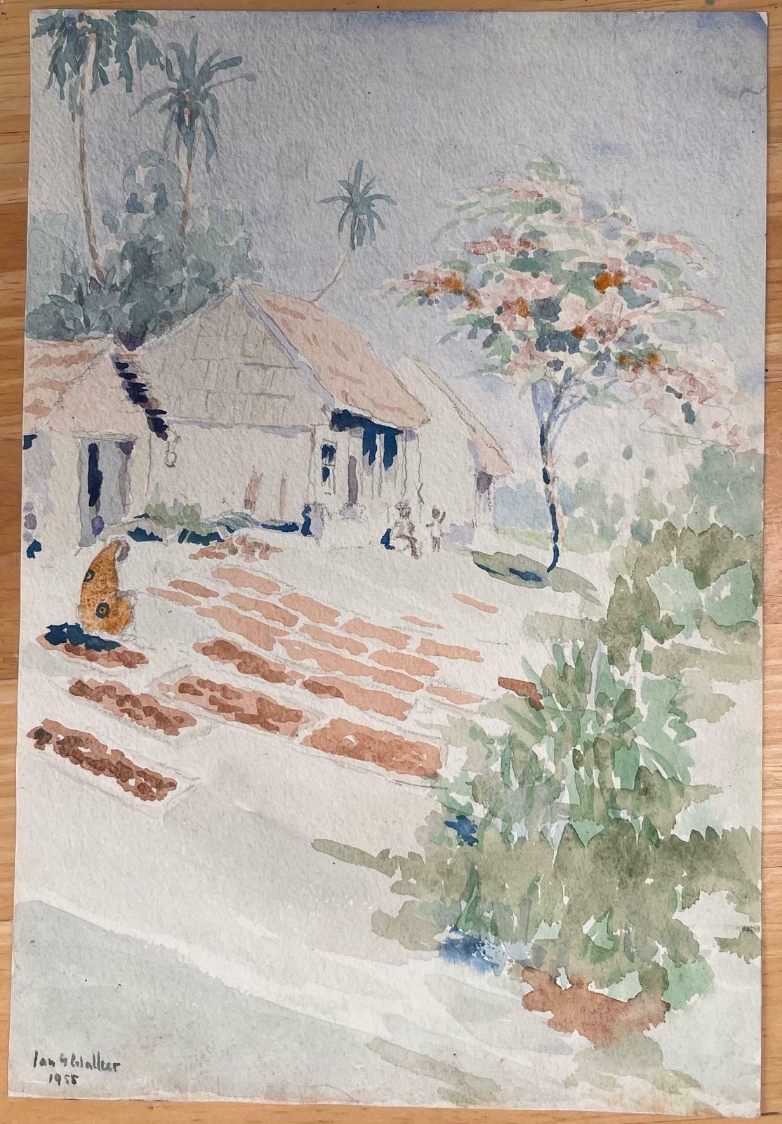 Ian G. Walkerfinely Detailed British Watercolor Of Cloves Drying North  Of Zanzibar Town1955 photo furniture