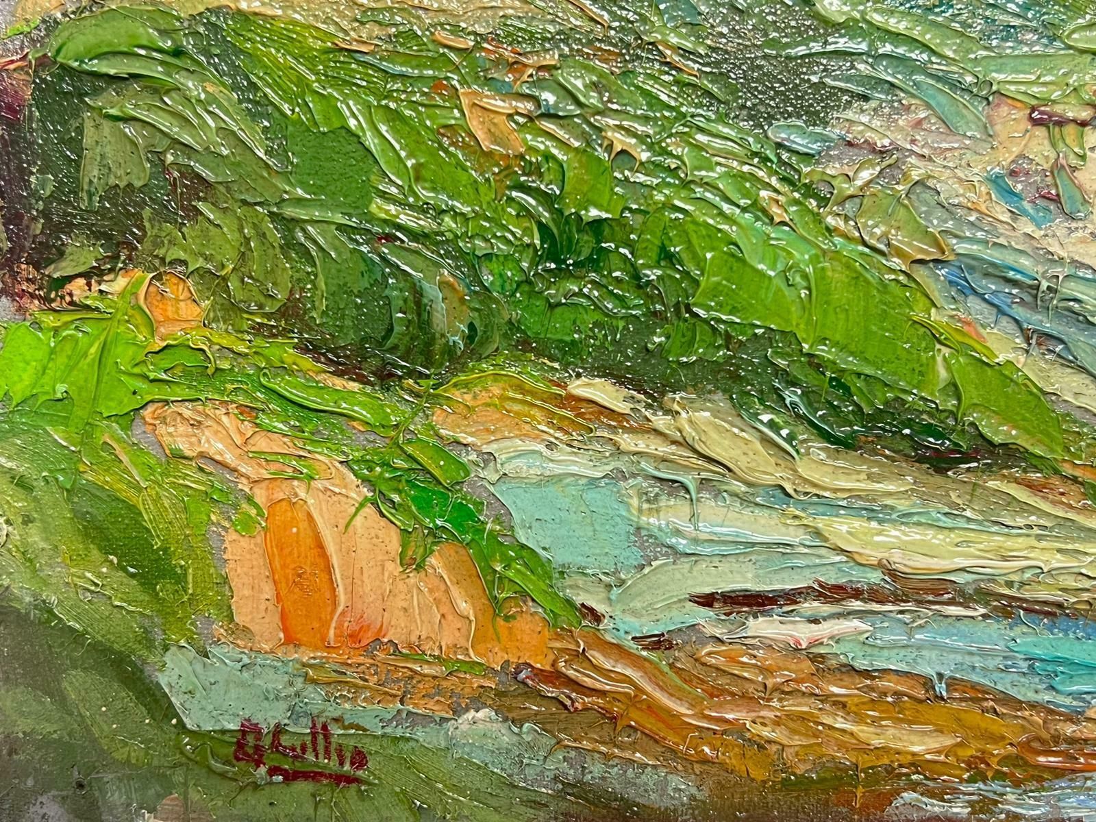 1900's Italianthe Italian Coastline Turquoise Sea Signed Antique Impressionist Oil Painting photo furniture