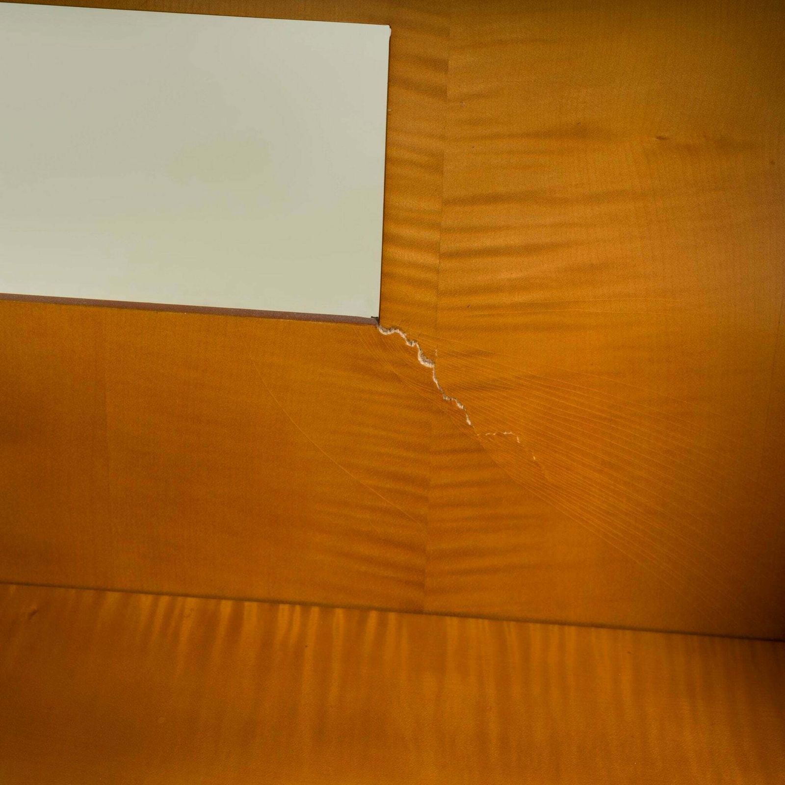 Julian Chichester Natural Vellum University Bookshelf photo buy