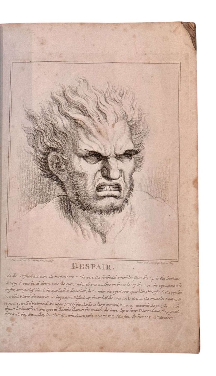 Vintage Engraving After Charles Le Brun's Human Physiognomy Despair photo furniture