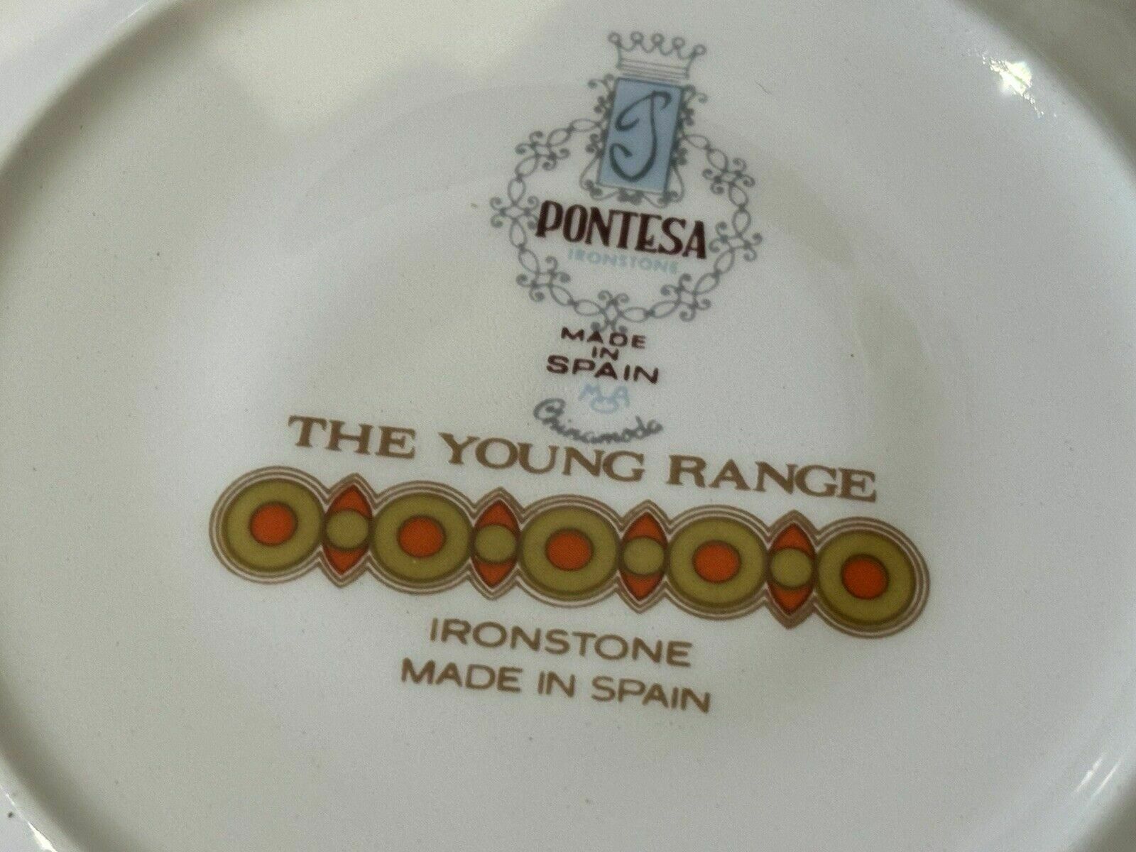 Mid Century Pontesa Young Range 4 Cups And Saucers Retro Orange Floral photo Home Decor