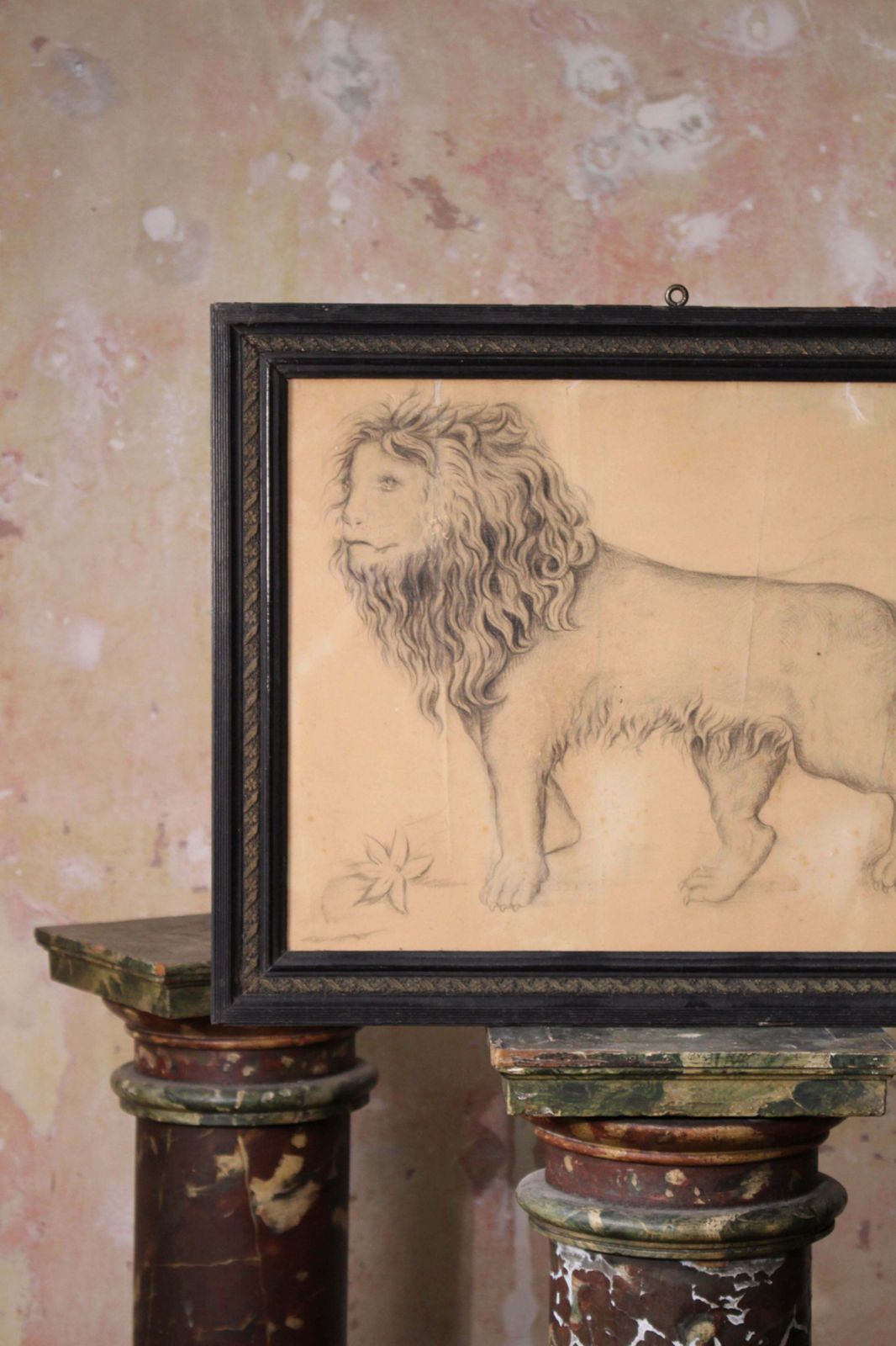 French Late 19th C Large Anthropomorphic Pencil Drawing Of Lion 1886 Taxidermy photo furniture
