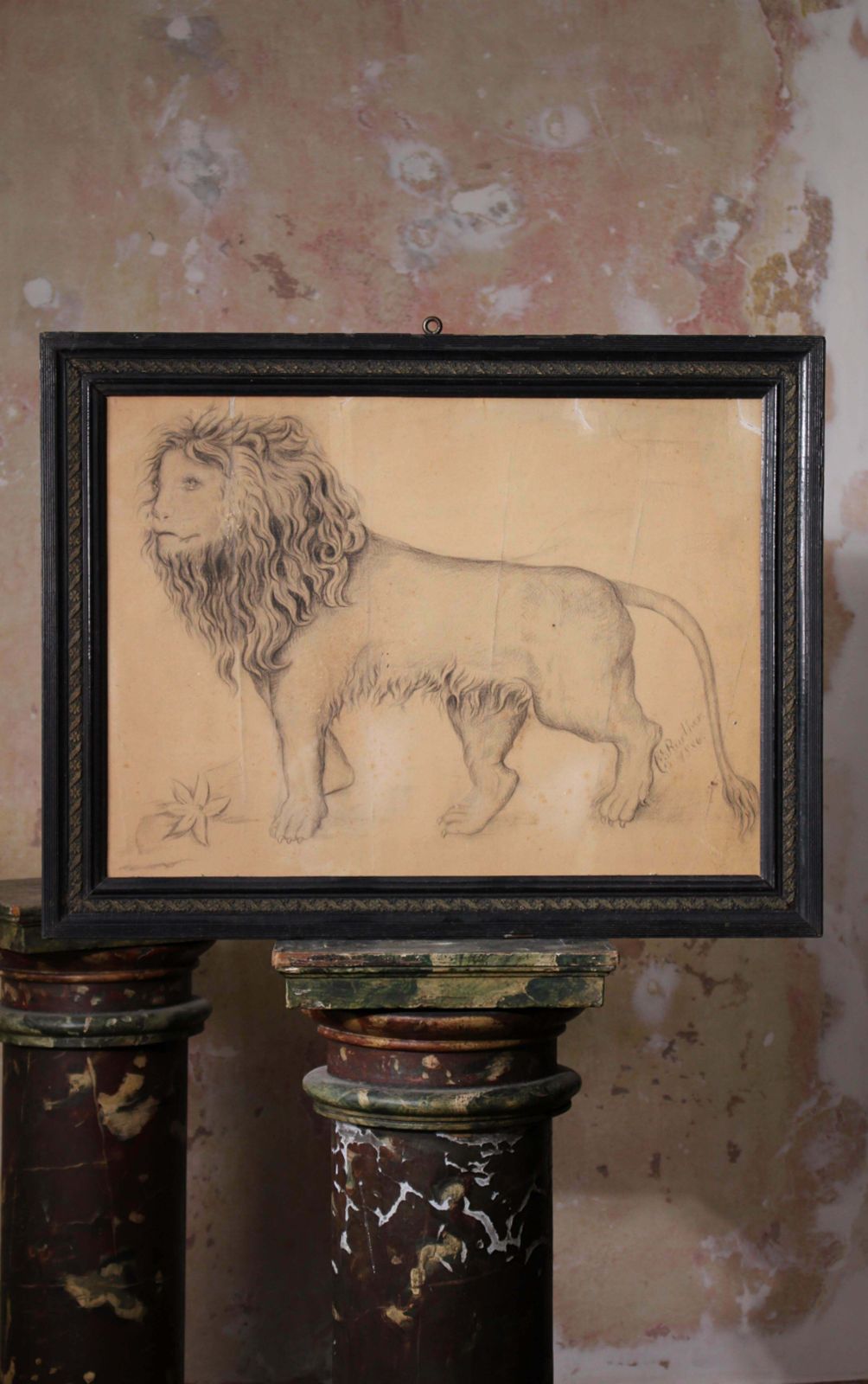 French Late 19th C Large Anthropomorphic Pencil Drawing Of Lion 1886 Taxidermy photo for sale