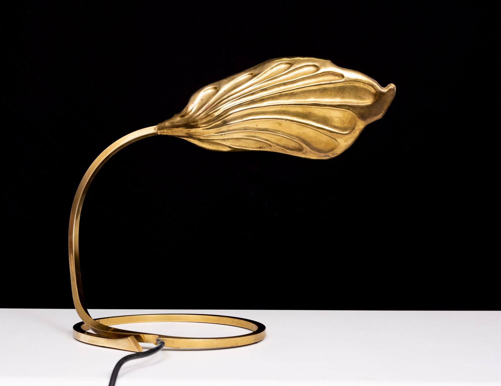 photo furniture Pair Brass Leaf Table Lamps Design By Carlo Giorgi & Tommaso Barbi 1970s