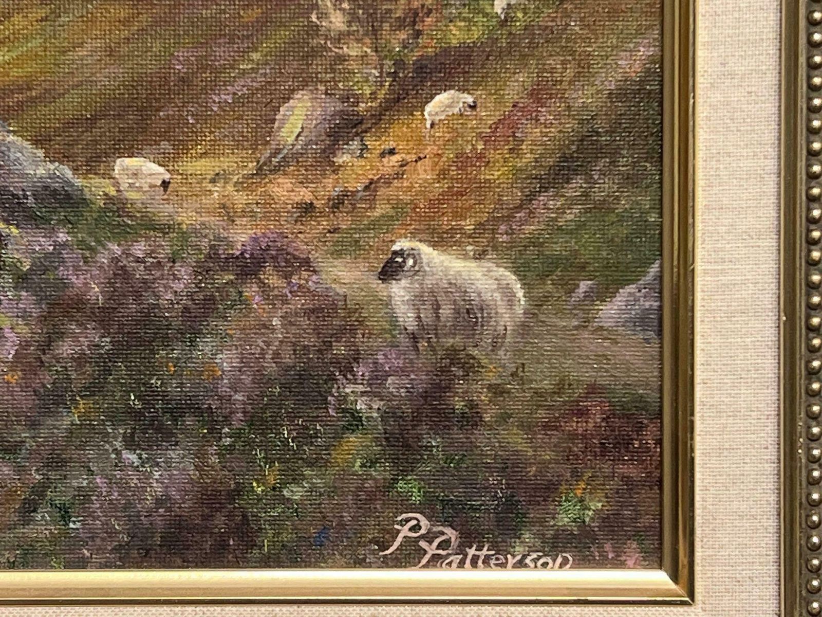 Pearl Pattersonglencoe Scotland Majestic Highland Landscape With Sheep Signed British Oil 2003 photo for sale