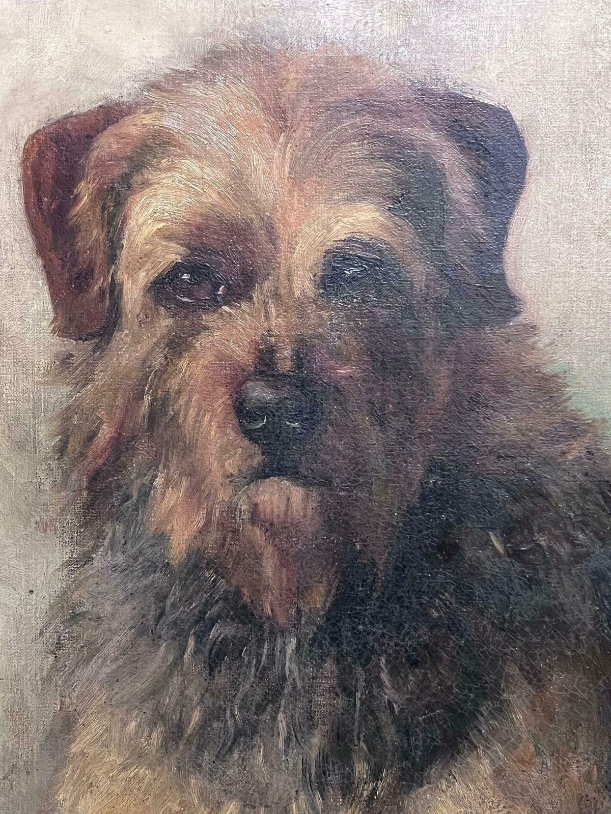 Leonard Richard Finnantique English Dog Painting Portrait Of Border Terrier Framed Oil Painting photo buy