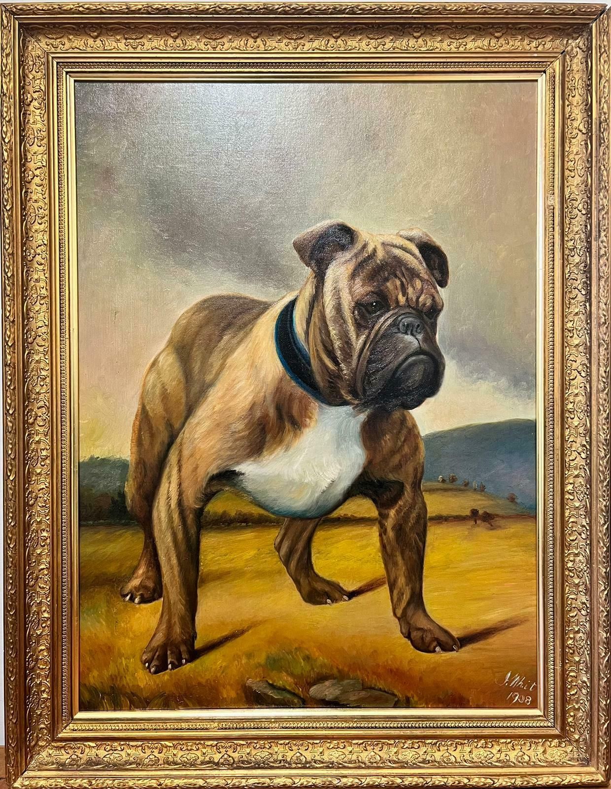 J Whitebritish Bulldog Original 1900's English Dog Painting Portrait Of Bulldog Signed