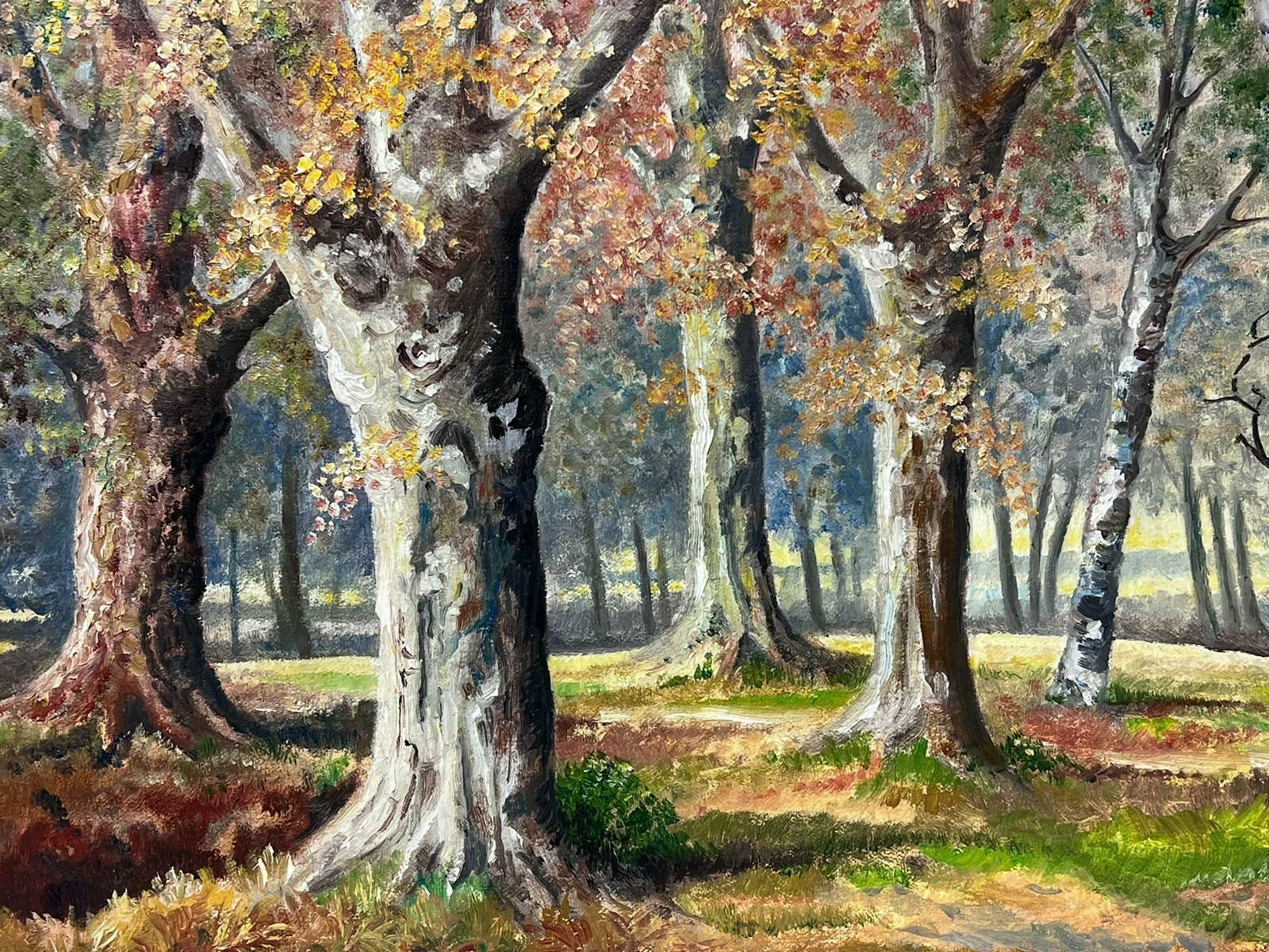 N. Hansfordautumn Forest 1970's English Signed Oil Painting Woodland Glade Of Trees1978 photo for sale