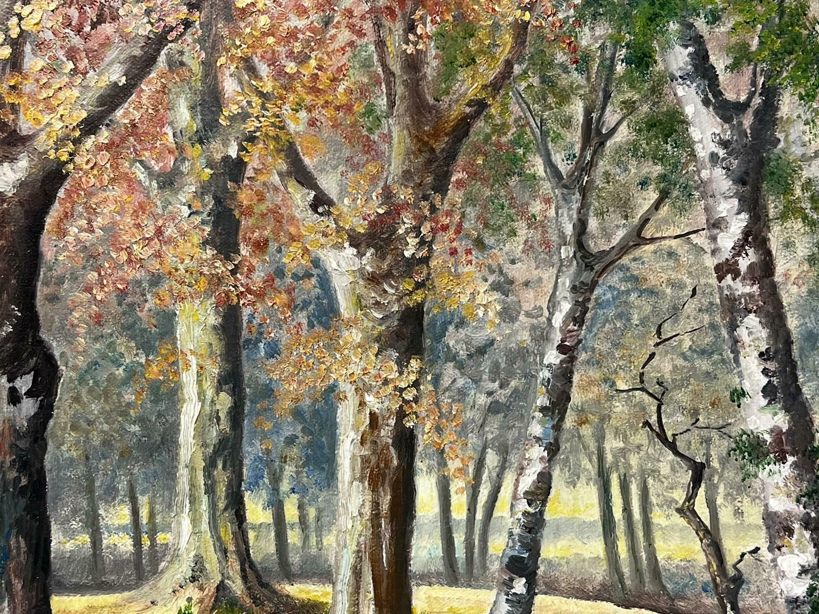 N. Hansfordautumn Forest 1970's English Signed Oil Painting Woodland Glade Of Trees1978 photo 357.0