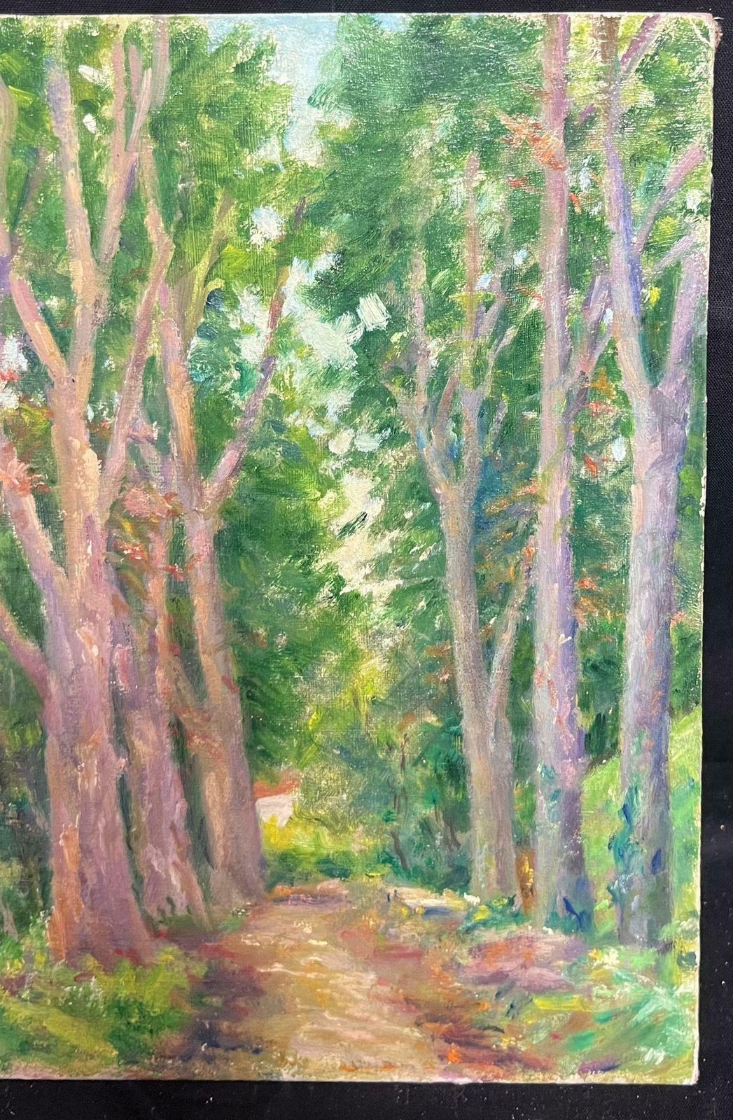 Regine Davidmid 20th Century 1950's French Post Impressionist Oil Woodland Avenue Trees1950's photo for sale