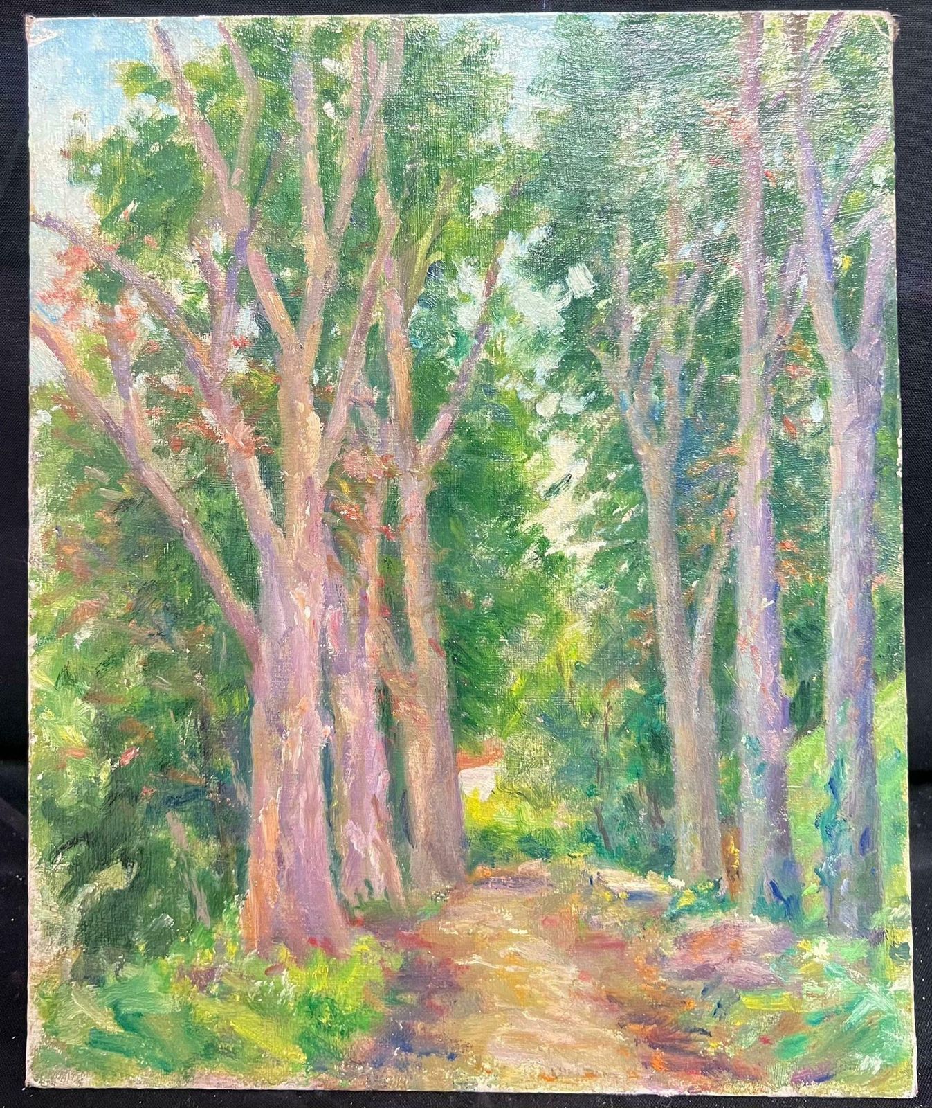 Regine Davidmid 20th Century 1950's French Post Impressionist Oil Woodland Avenue Trees1950's photo Art