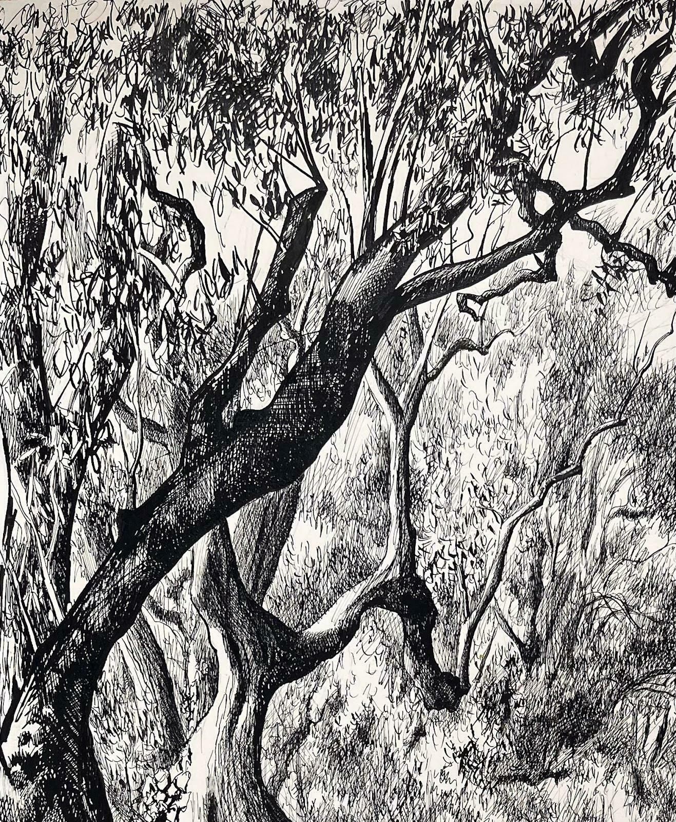 Josine Vignonmid Century French Original Ink Drawing   Urban View Through Olive Trees1950's photo for sale
